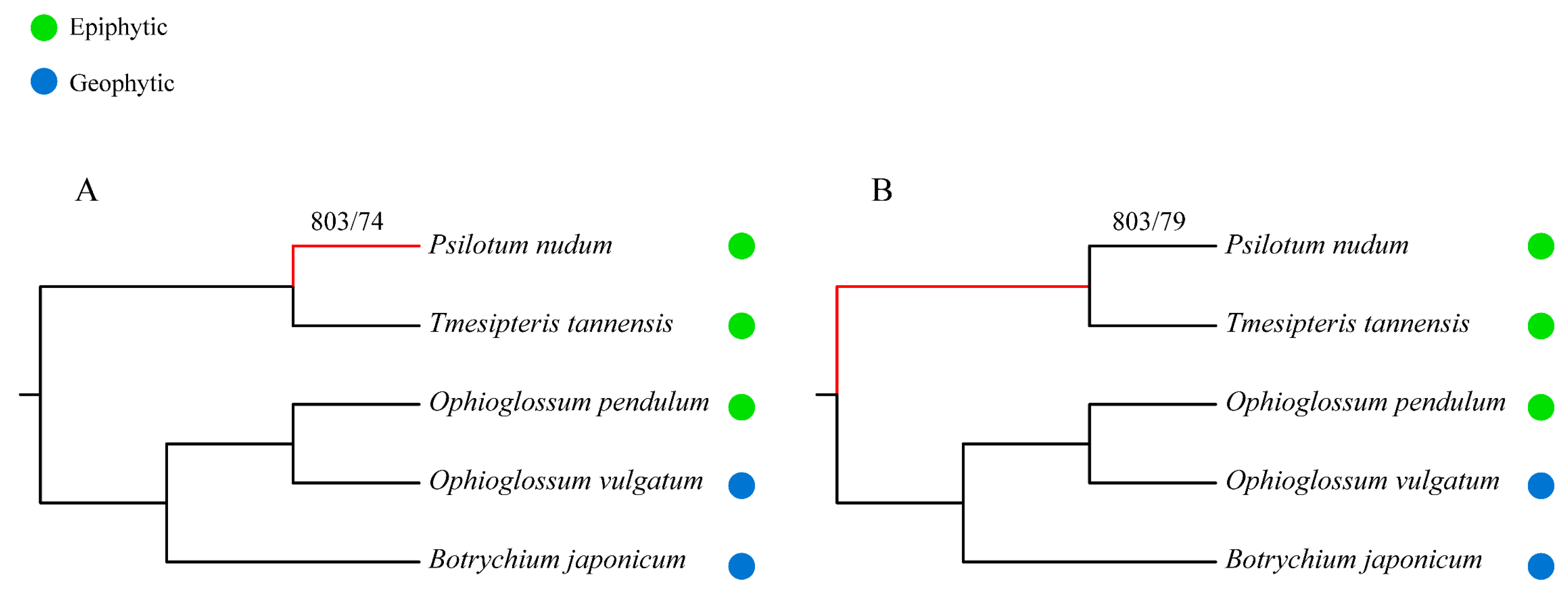 Plants 11 01198 g005