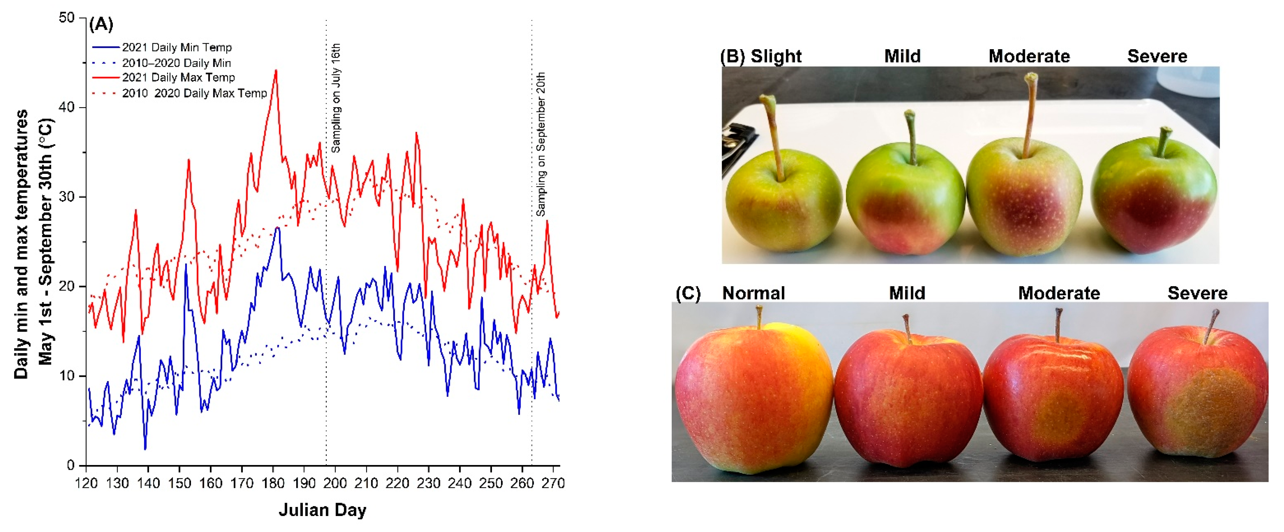 Plants 11 01201 g001