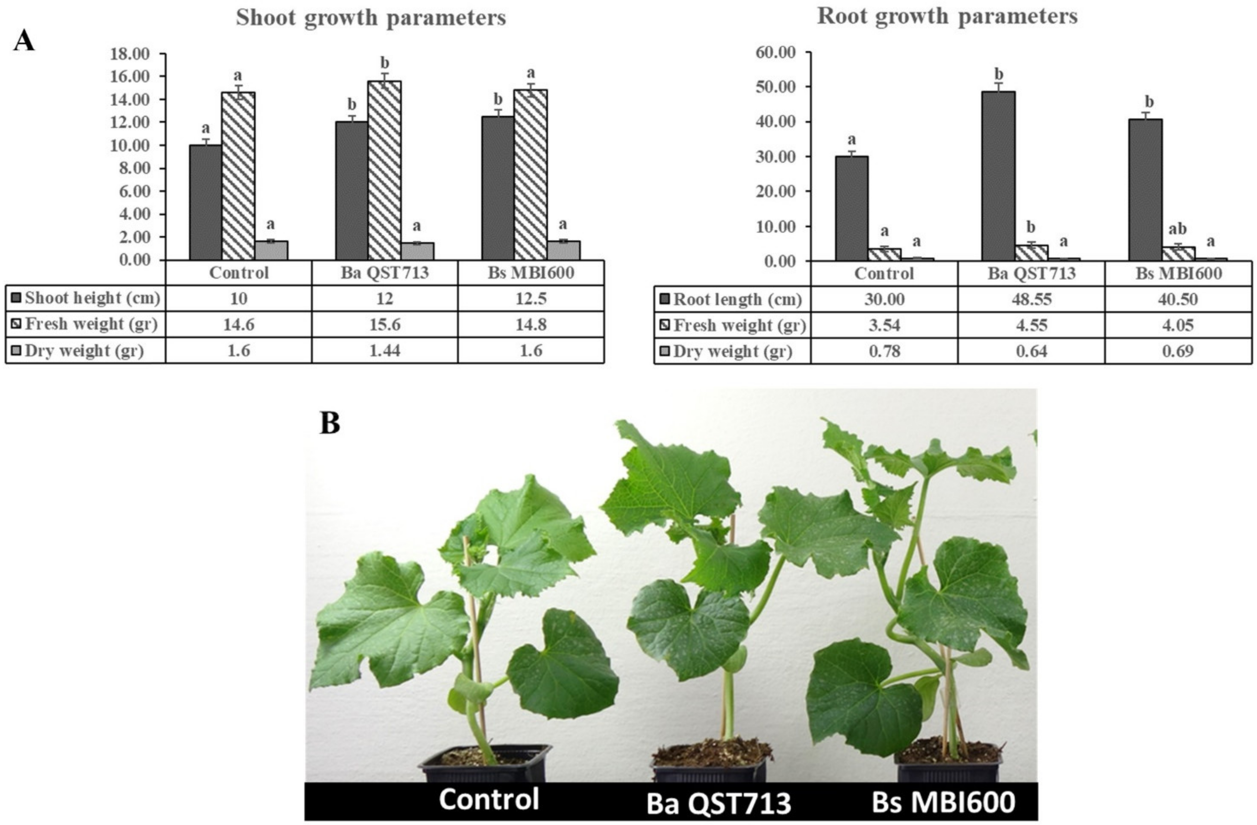 Plants 11 01218 g001 Plants 11 01218 g001