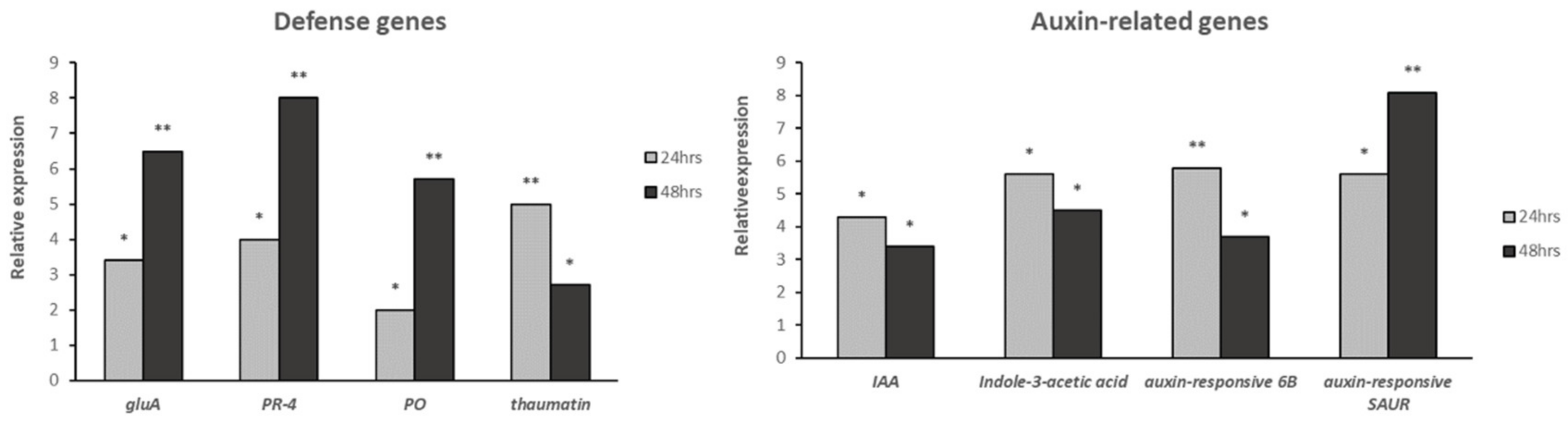Plants 11 01218 g005 Plants 11 01218 g005