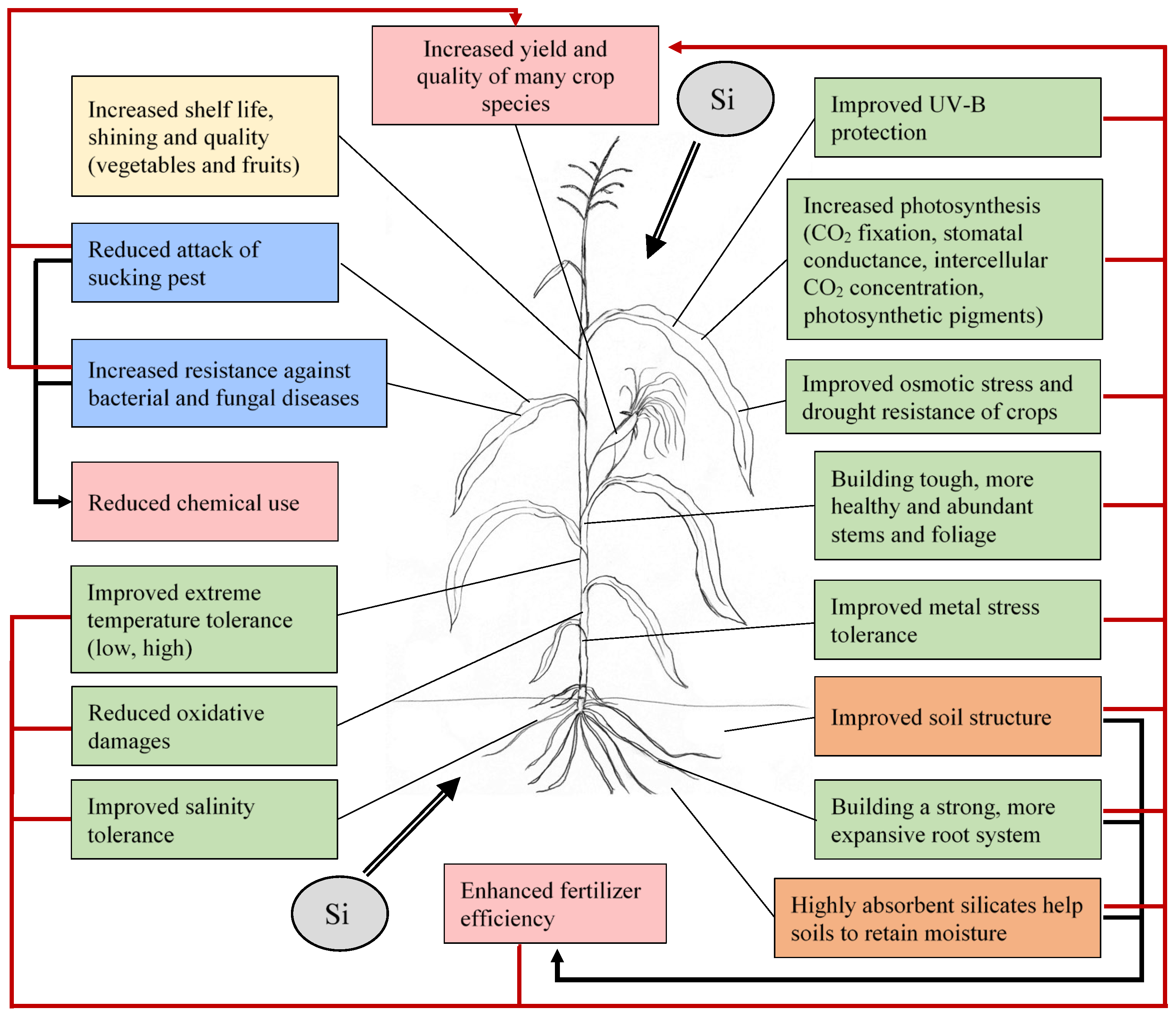 Plants 11 01223 g003