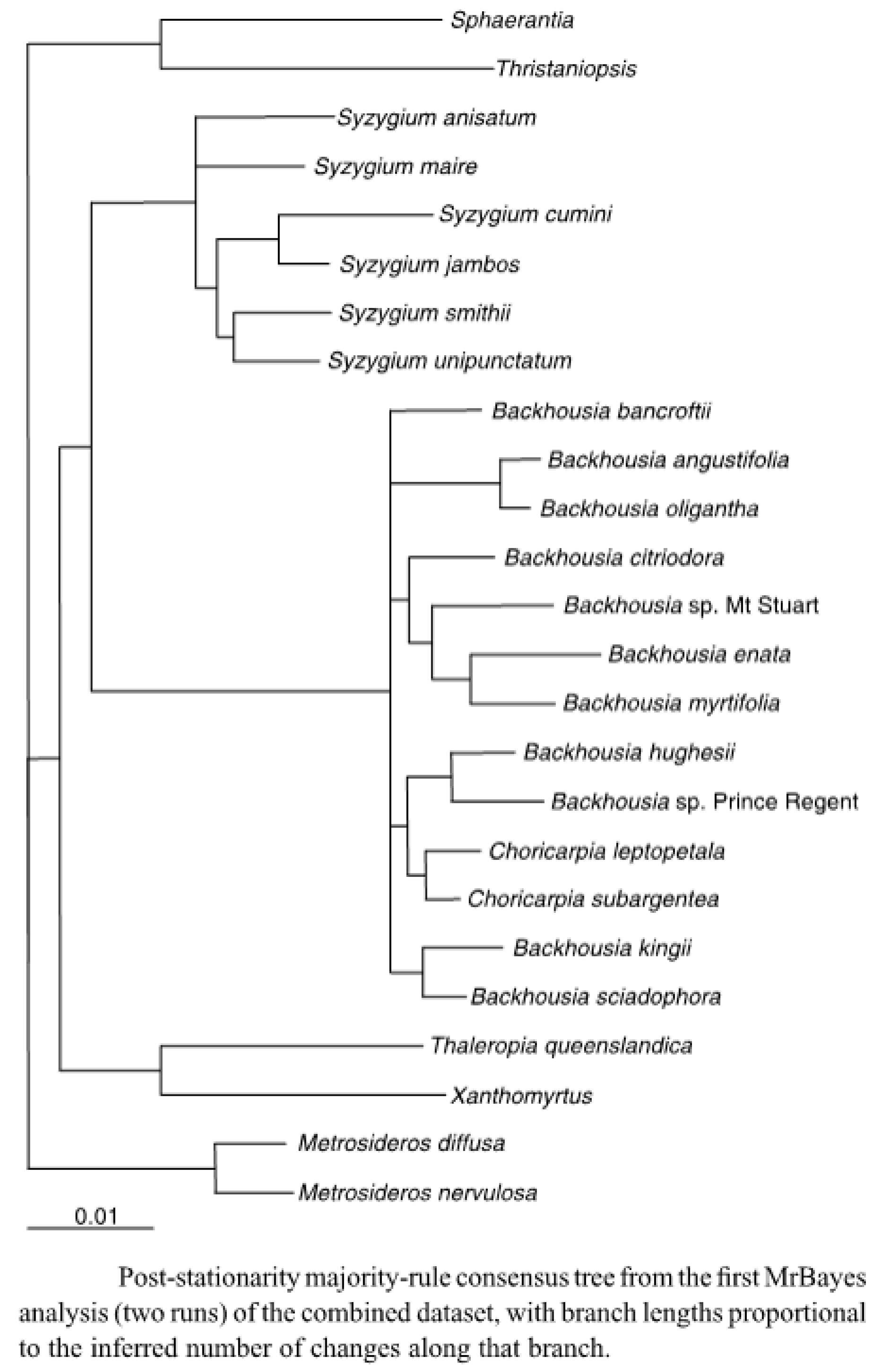 Plants 11 01231 g004 Plants 11 01231 g004