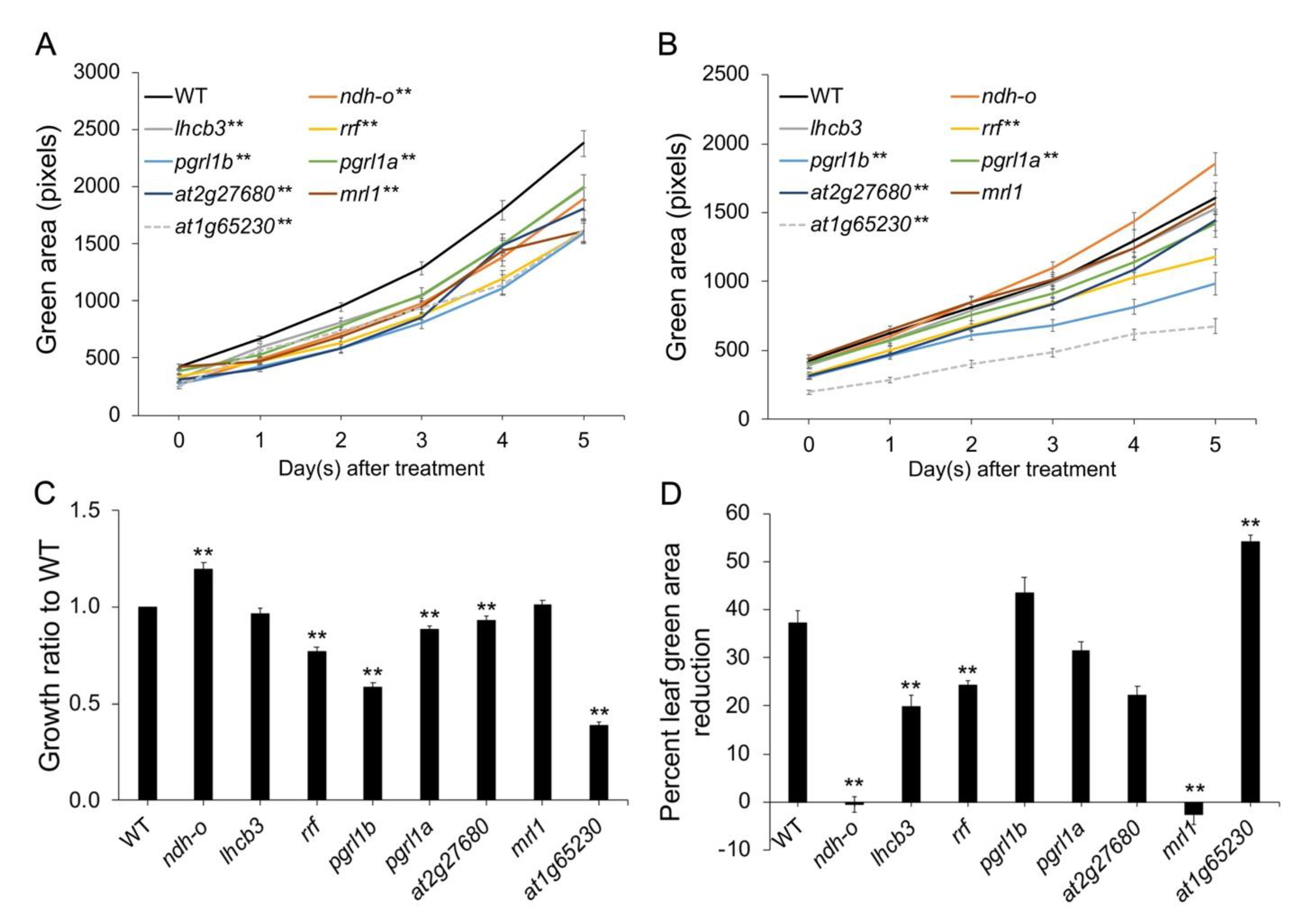 Plants 11 01233 g001