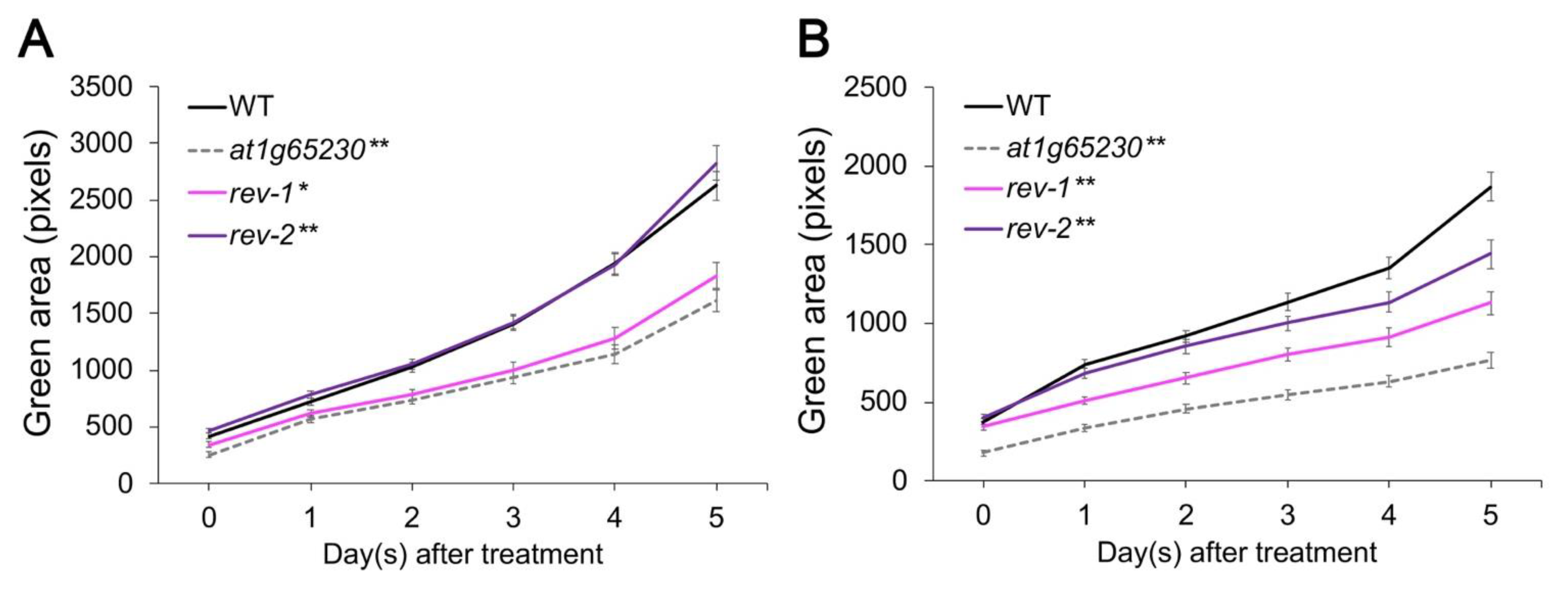 Plants 11 01233 g002