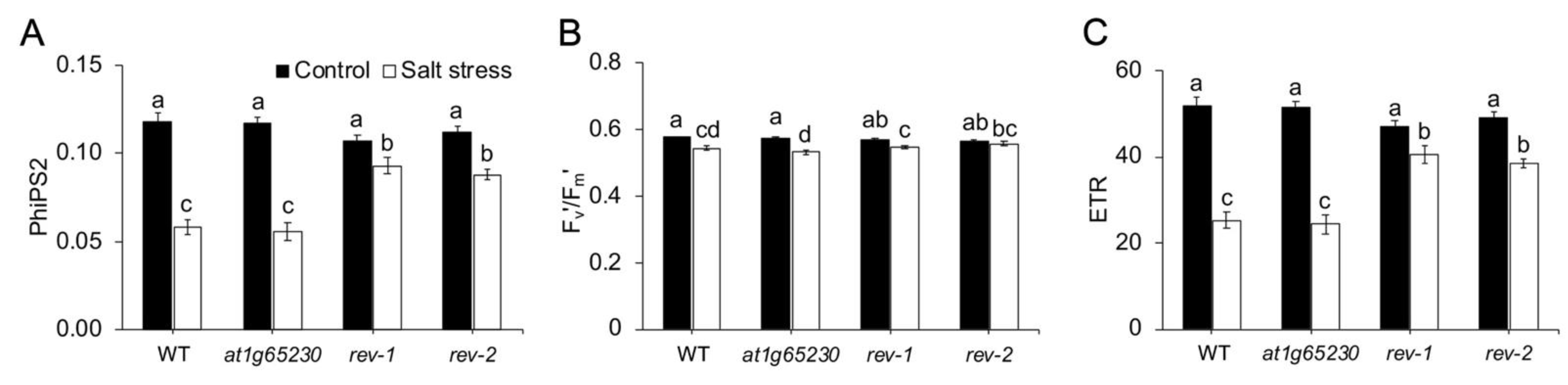 Plants 11 01233 g004