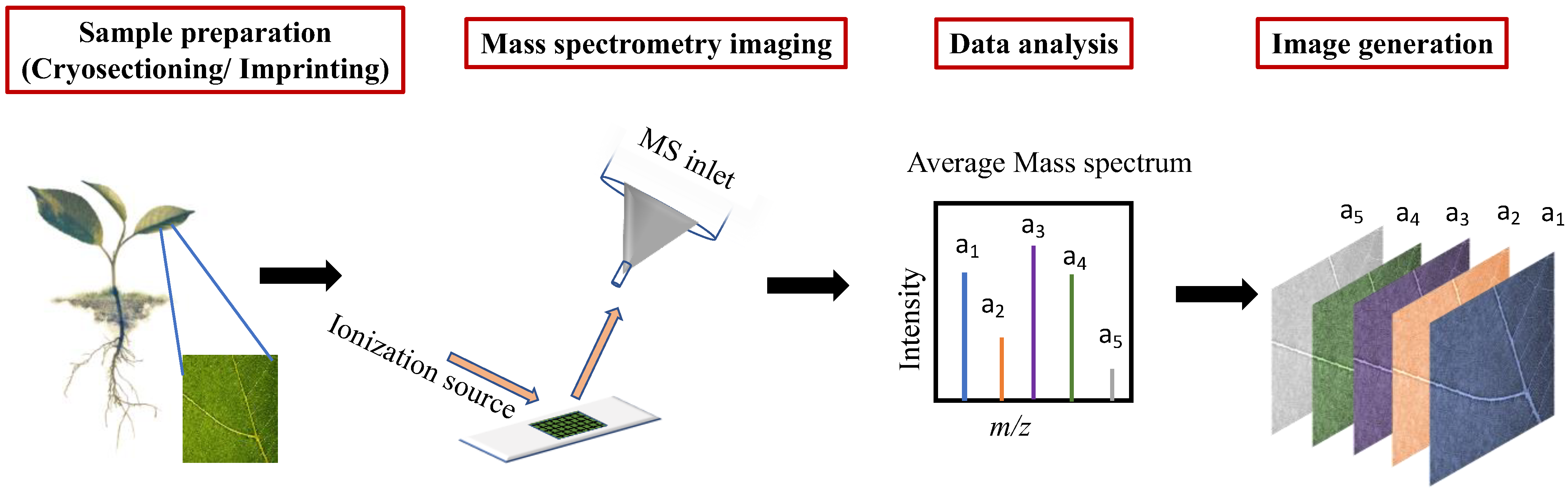 Plants 11 01234 g001 Plants 11 01234 g001