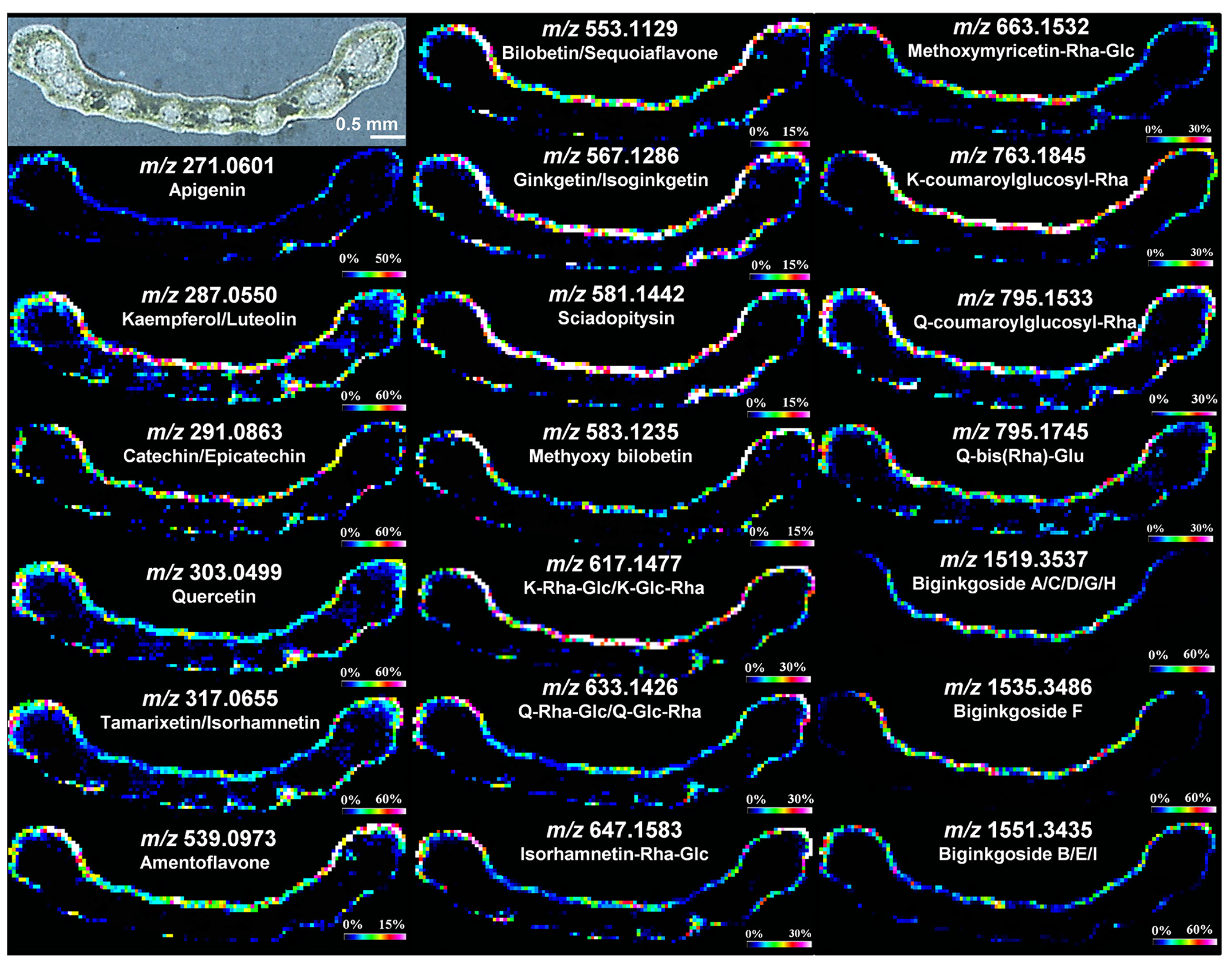 Plants 11 01234 g003 Plants 11 01234 g003