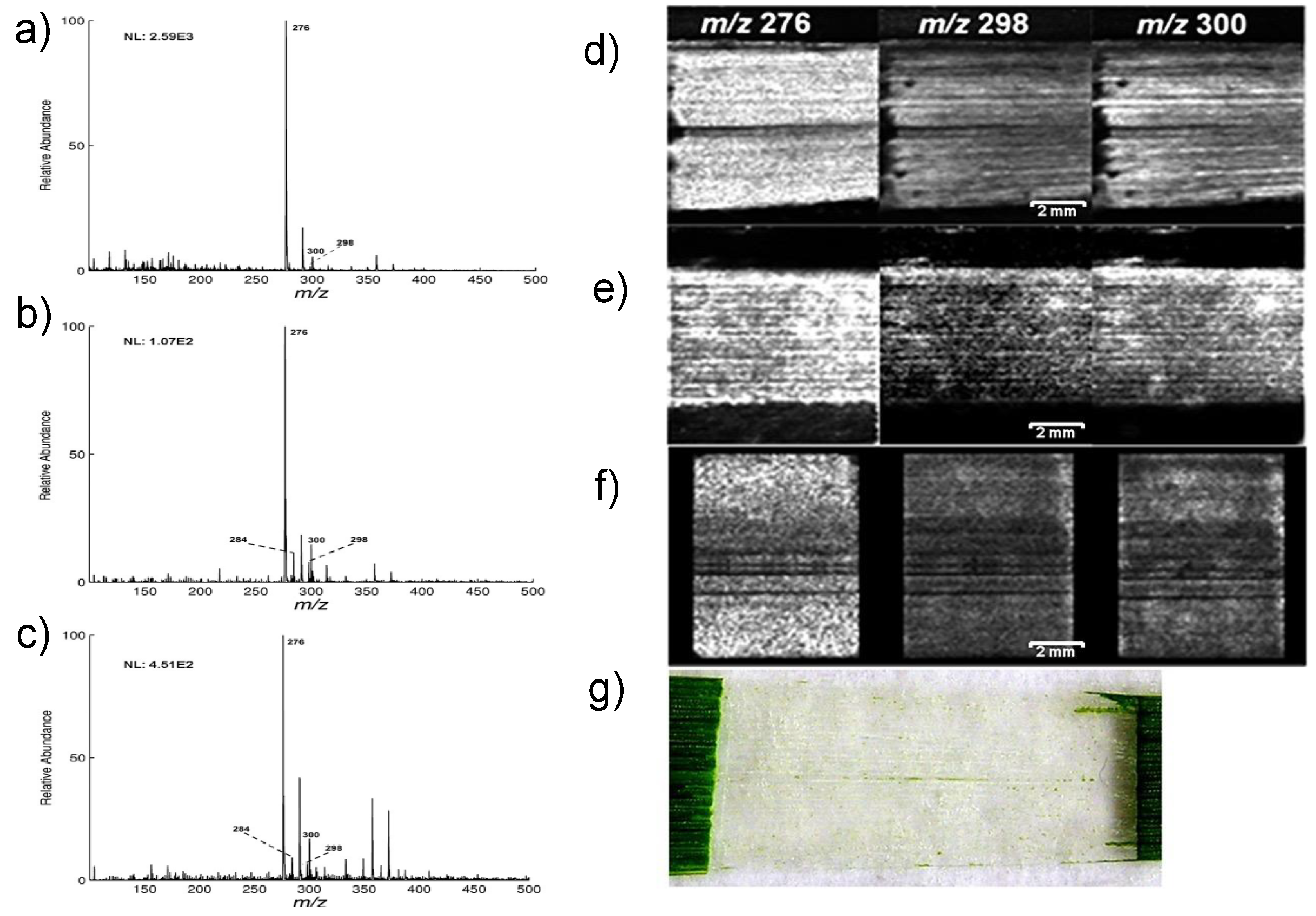 Plants 11 01234 g004 Plants 11 01234 g004