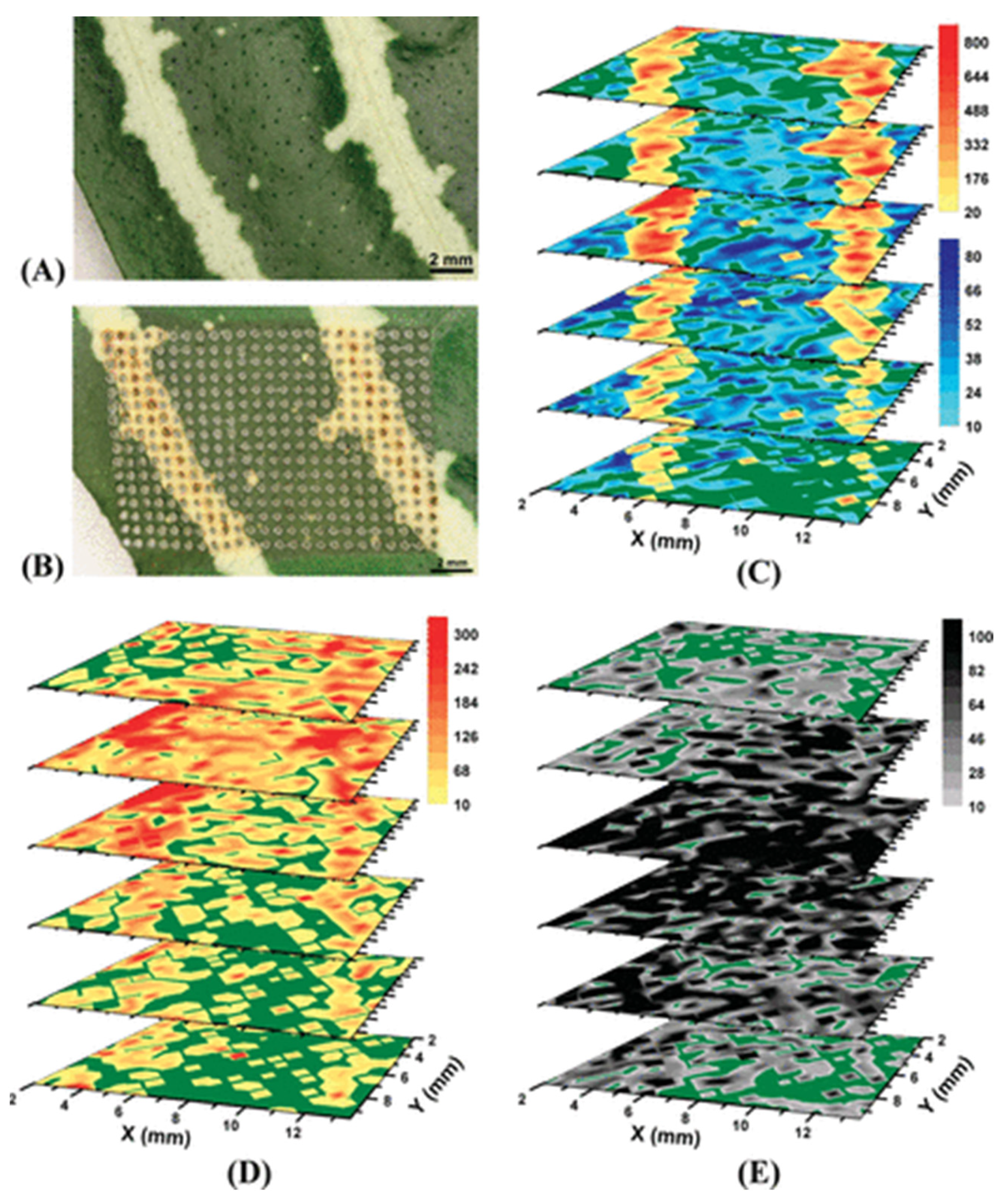Plants 11 01234 g005 Plants 11 01234 g005