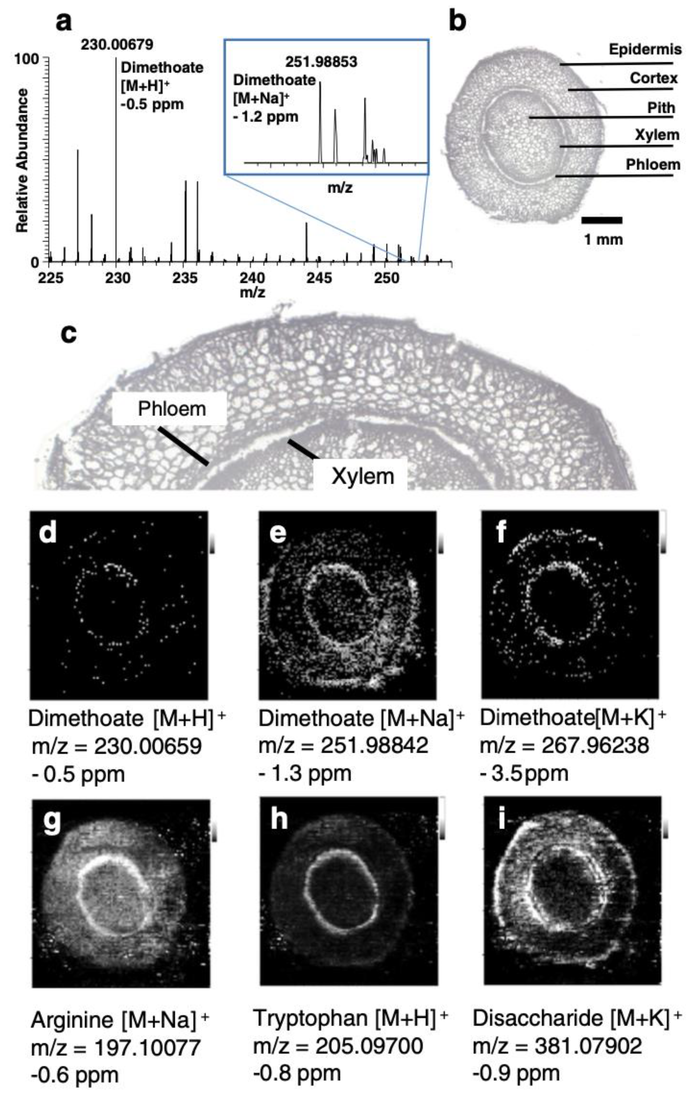 Plants 11 01234 g006 Plants 11 01234 g006