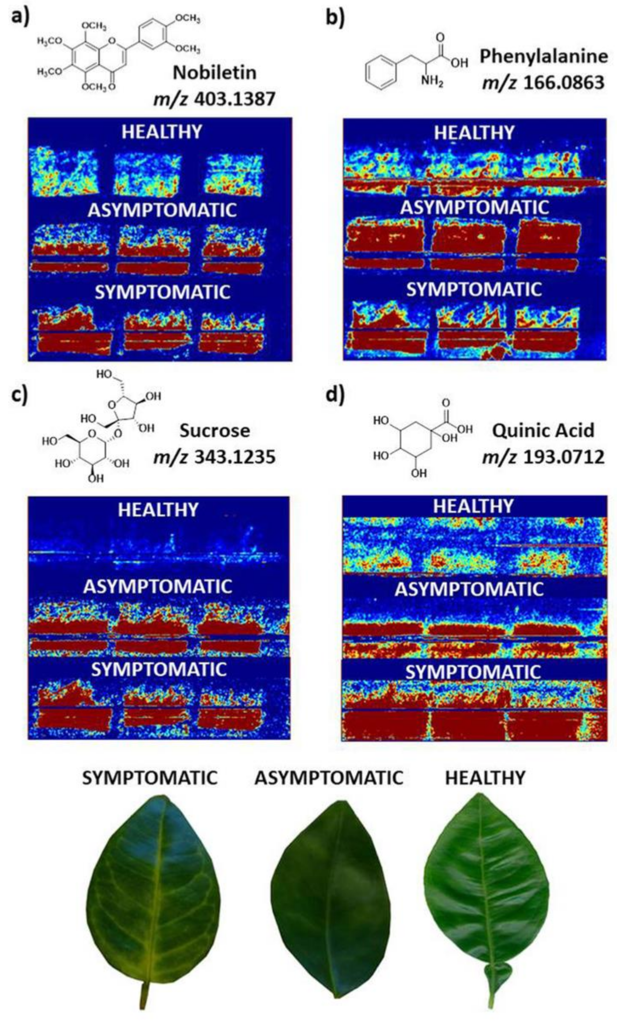 Plants 11 01234 g007 Plants 11 01234 g007
