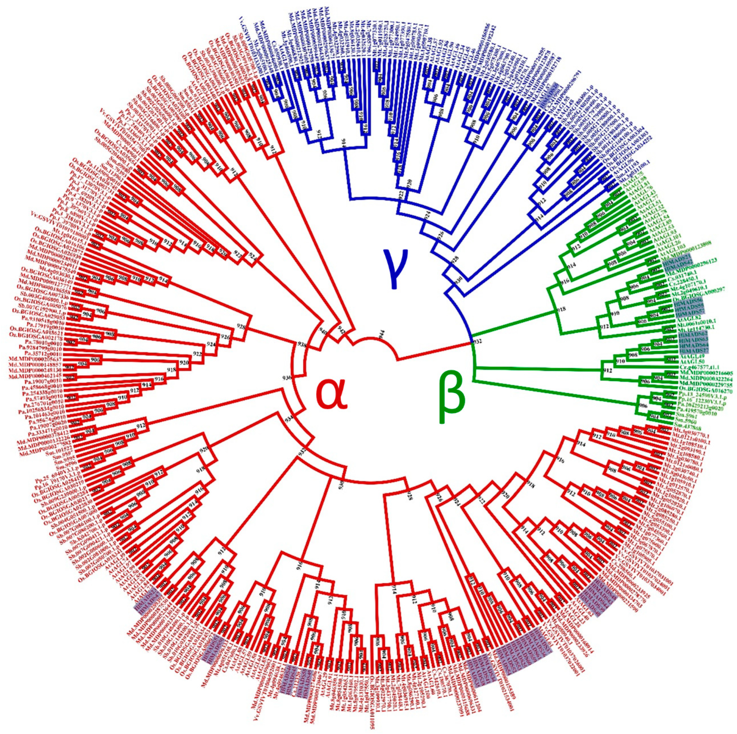 Plants 11 01237 g002