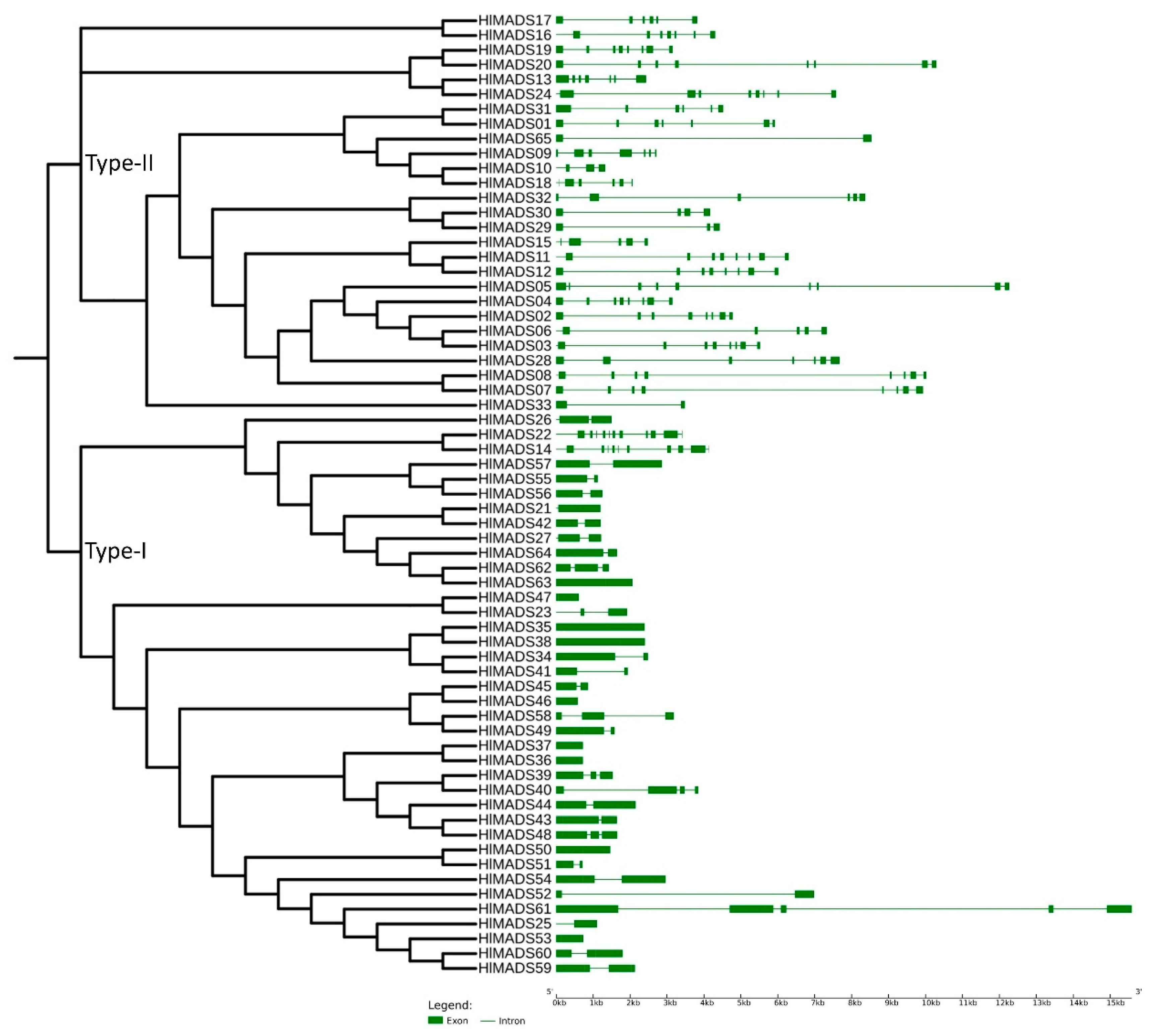 Plants 11 01237 g003