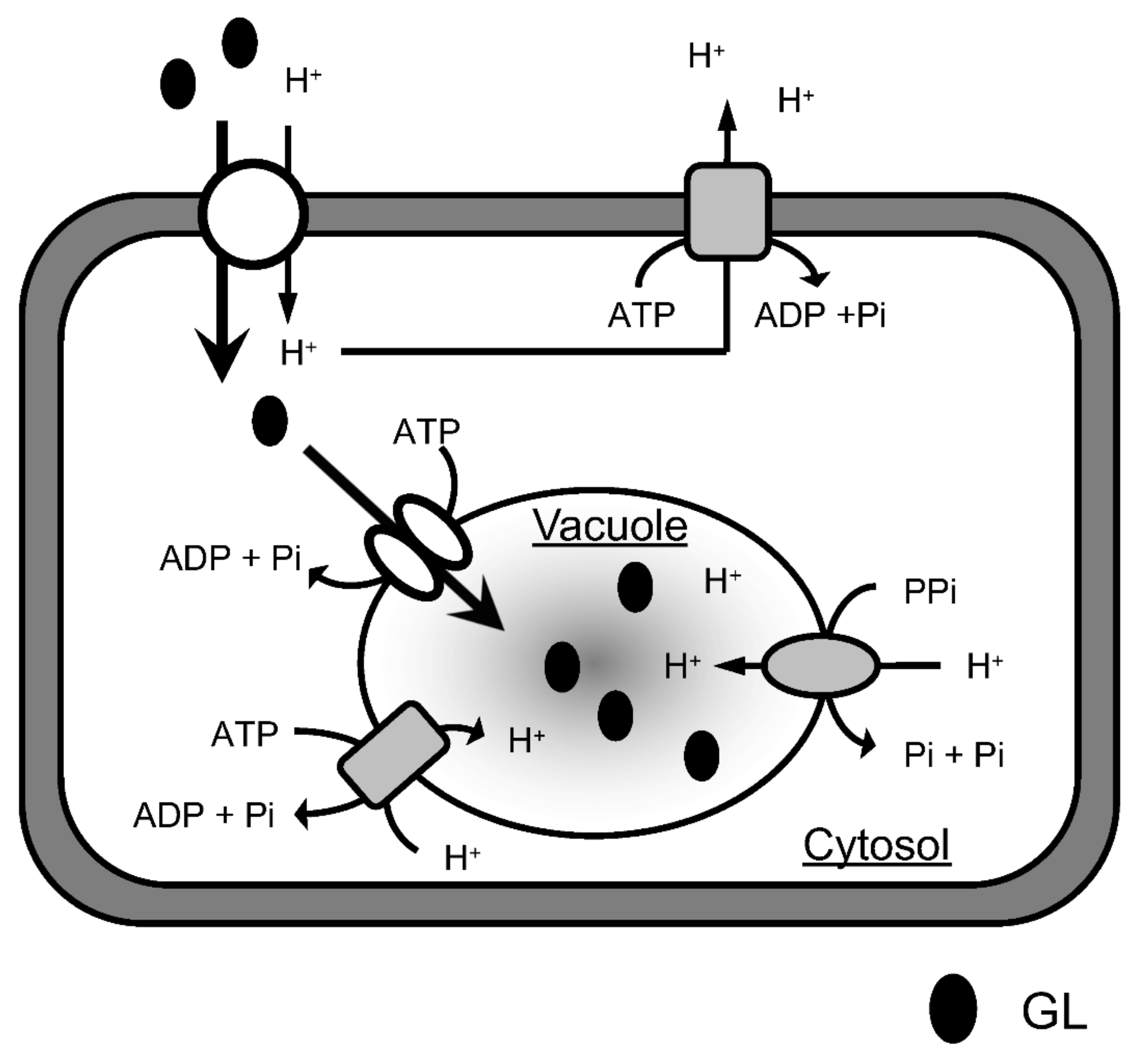 Plants 11 01250 g010