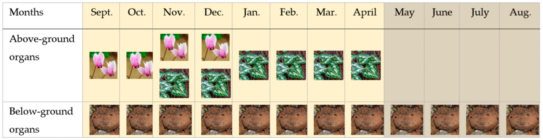 Plants 11 01254 g002