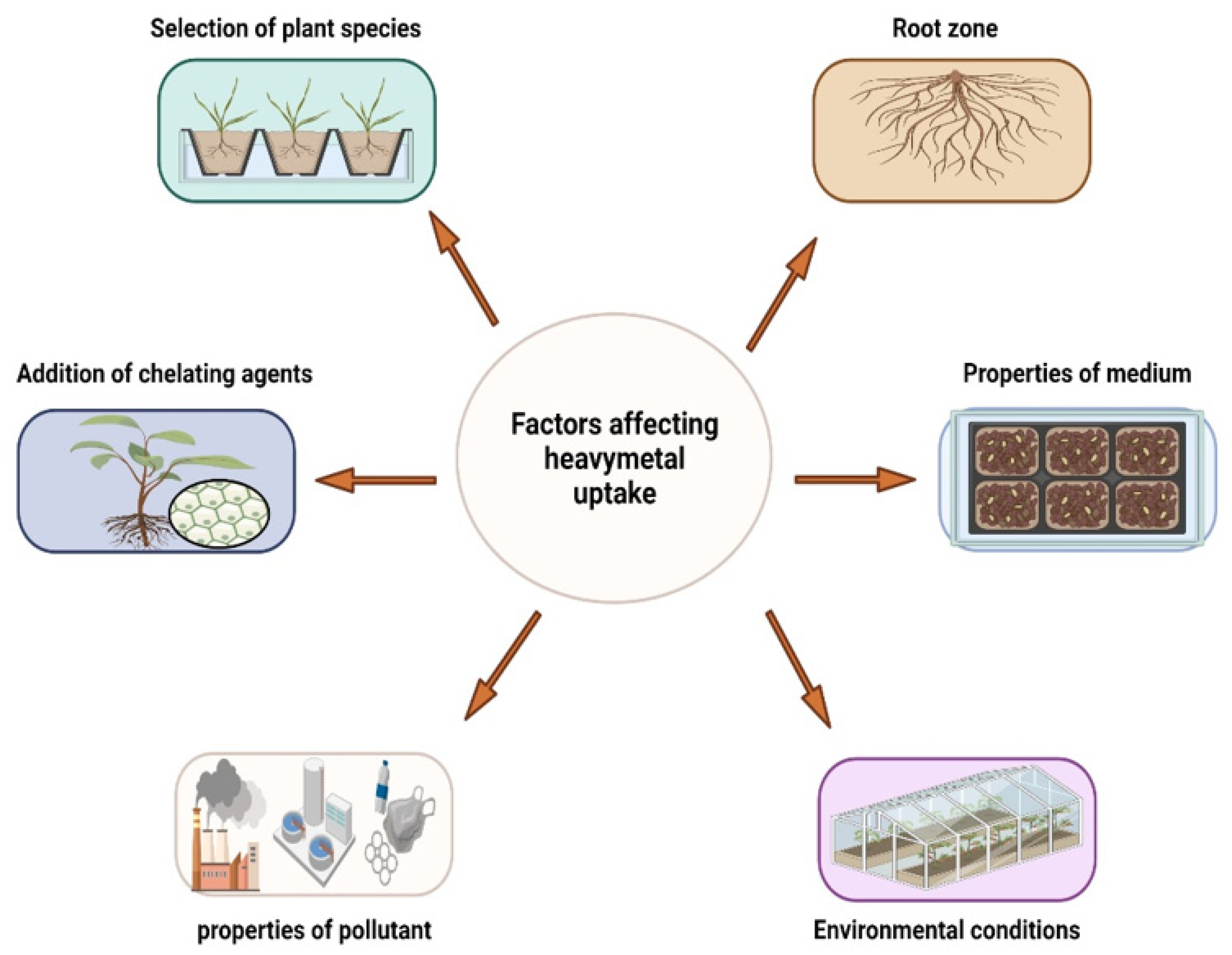 Plants 11 01255 g003