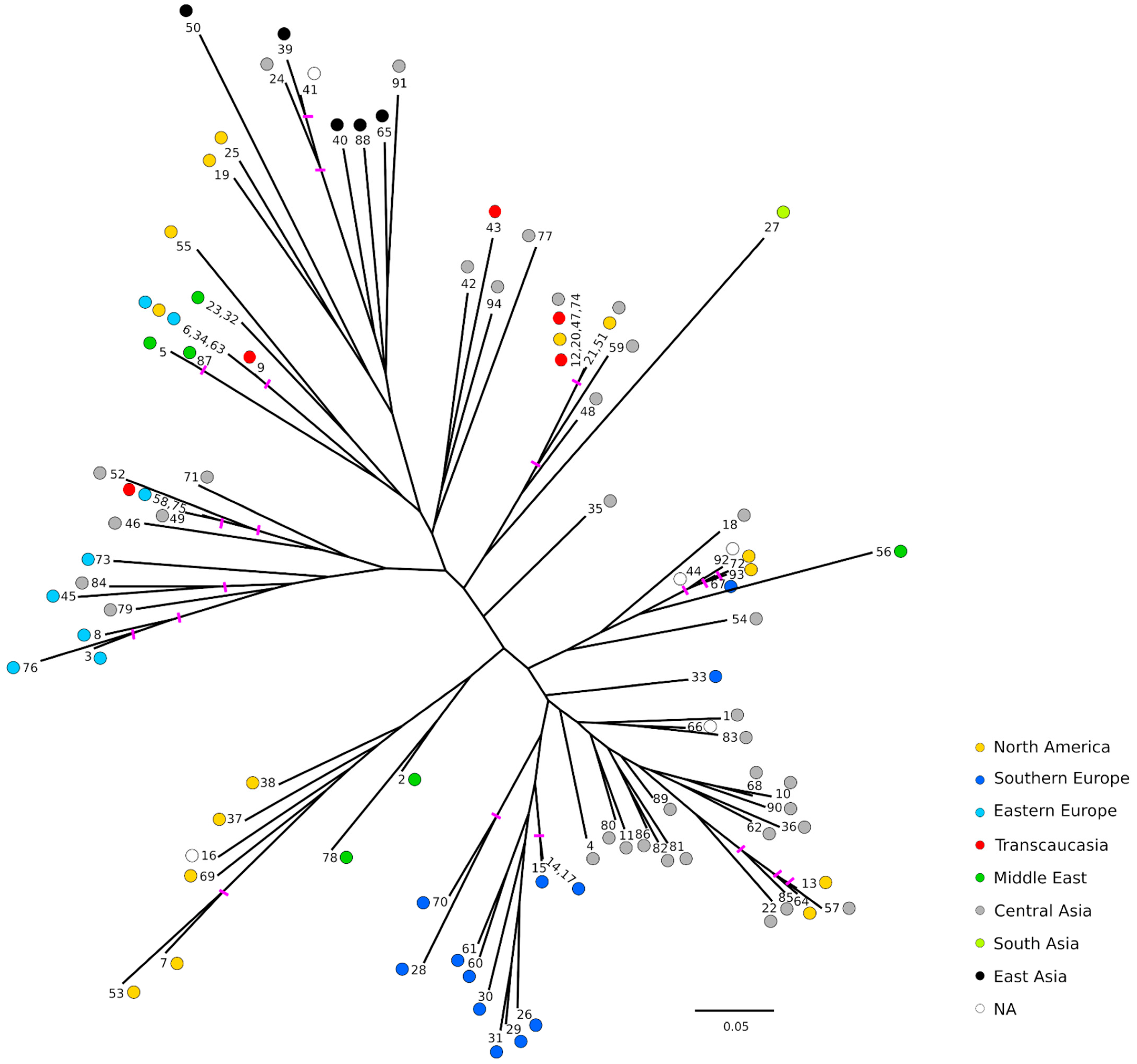 Plants 11 01257 g003