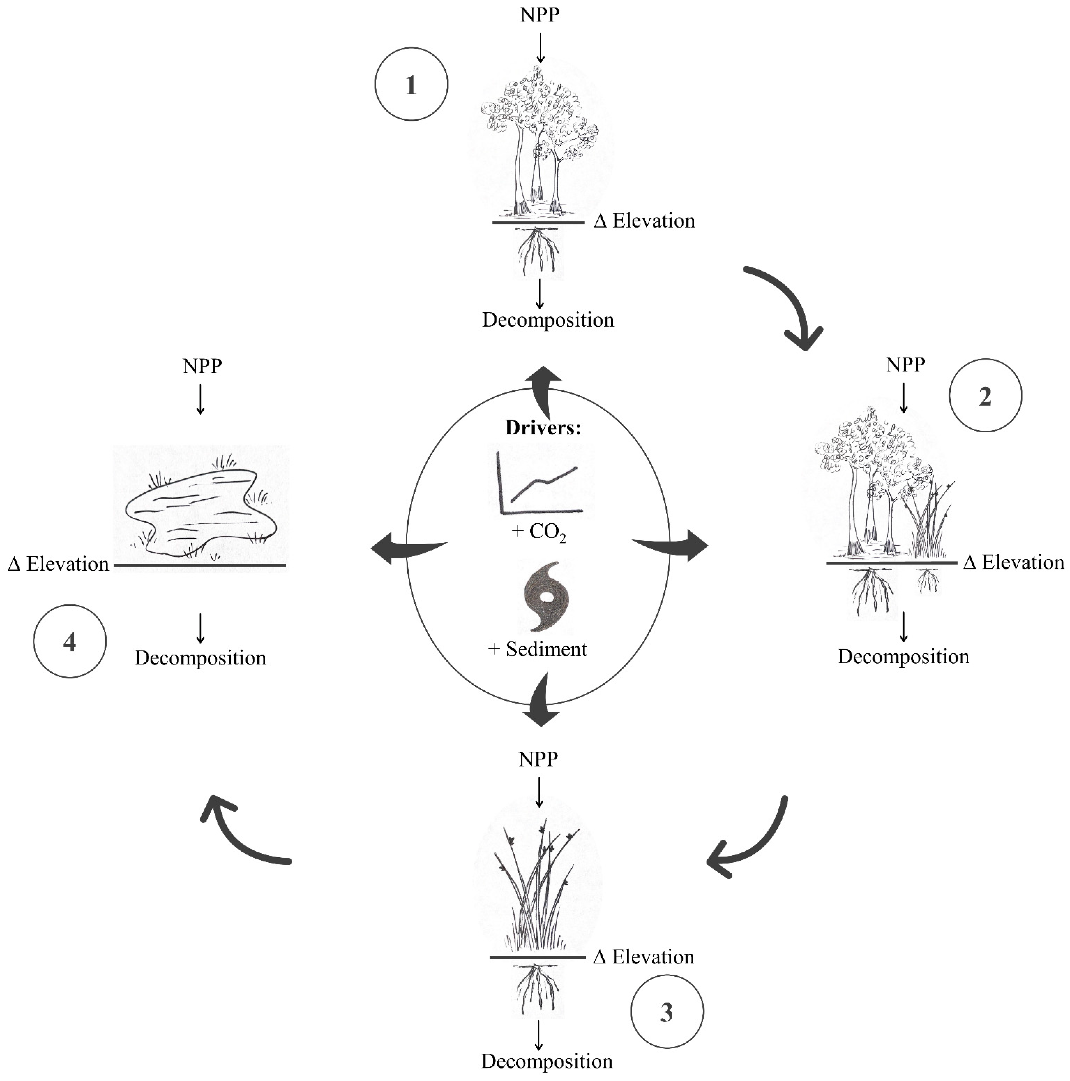 Plants 11 01259 g001