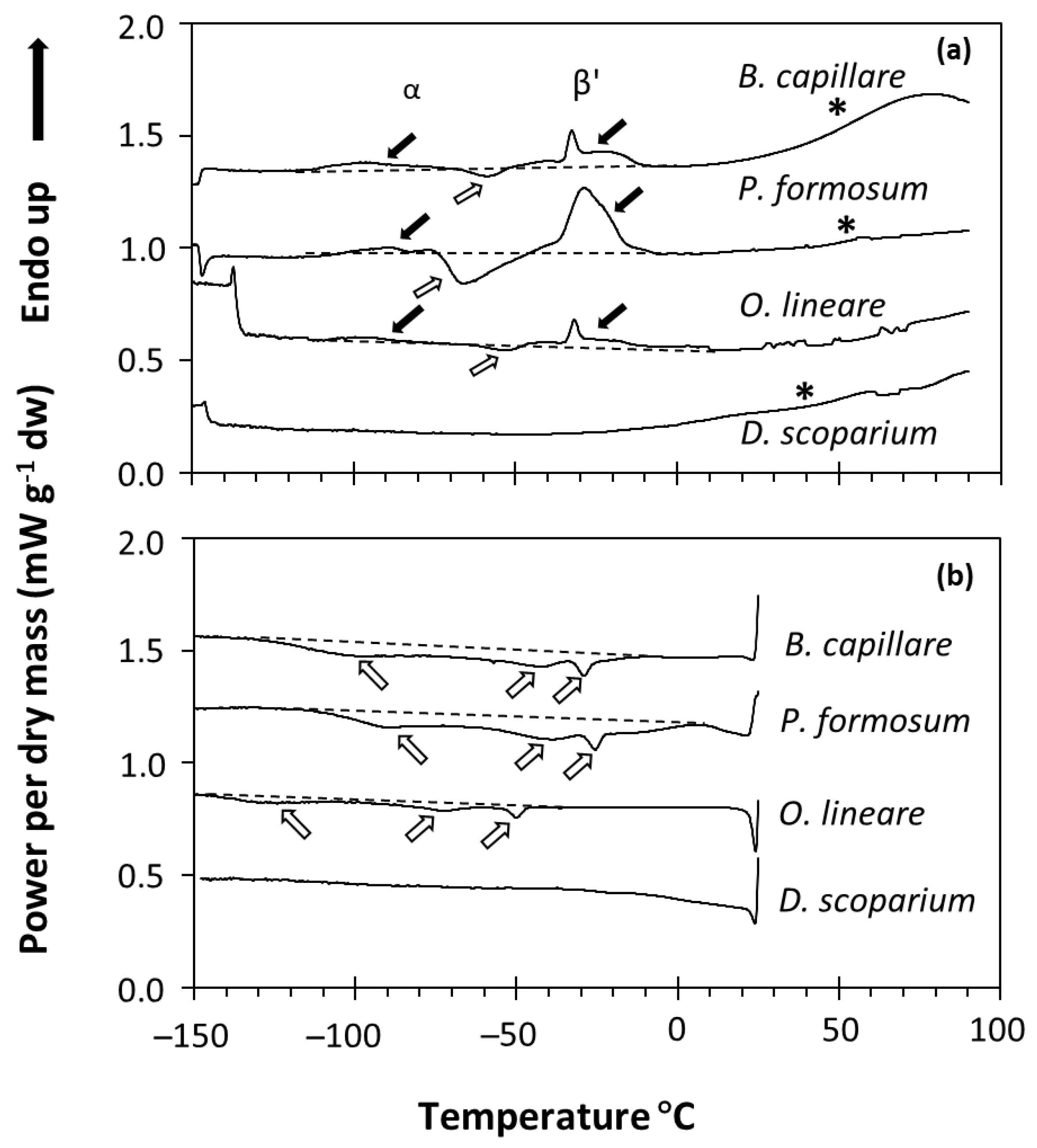 Plants 11 01262 g001