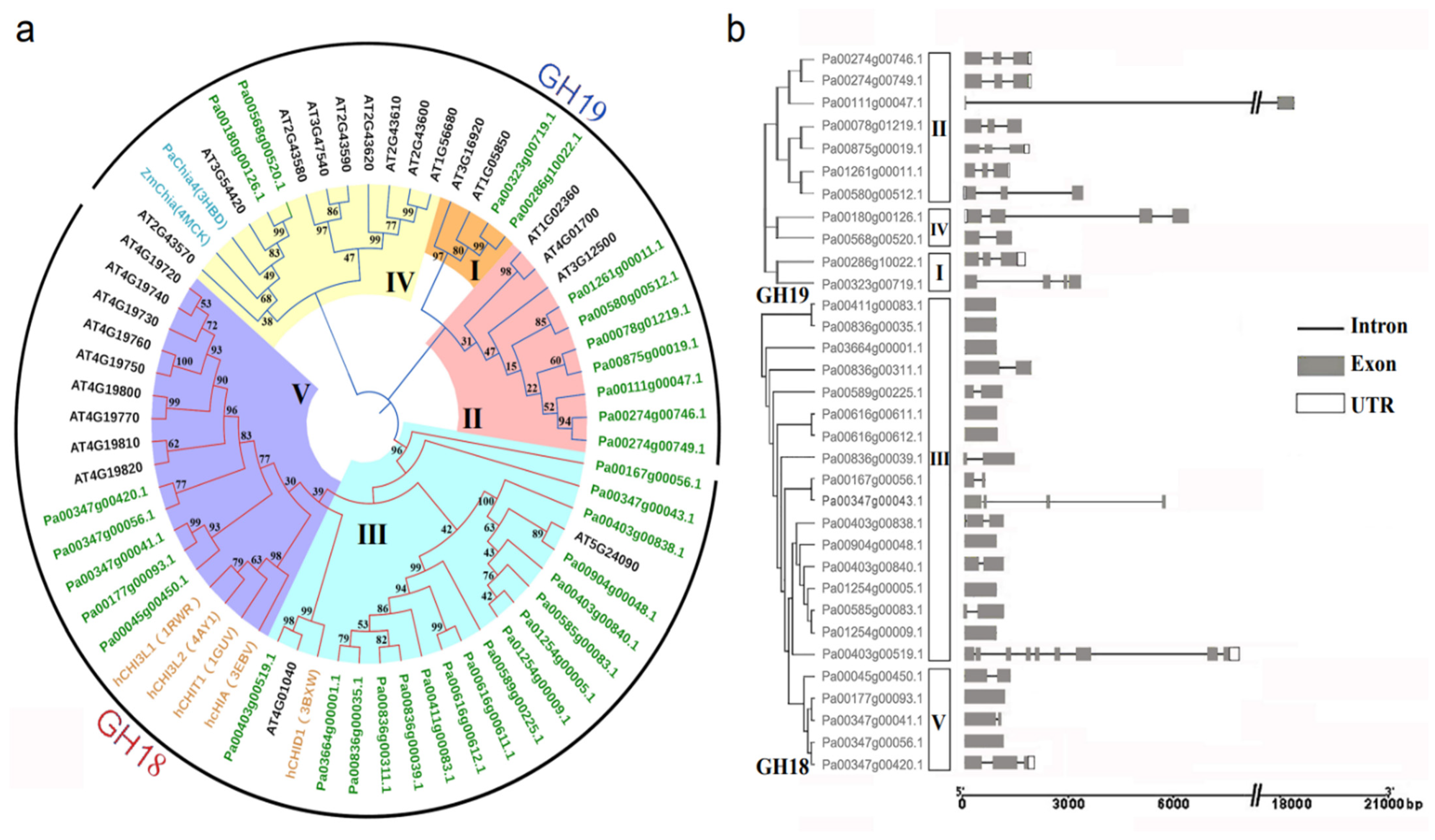 Plants 11 01269 g001