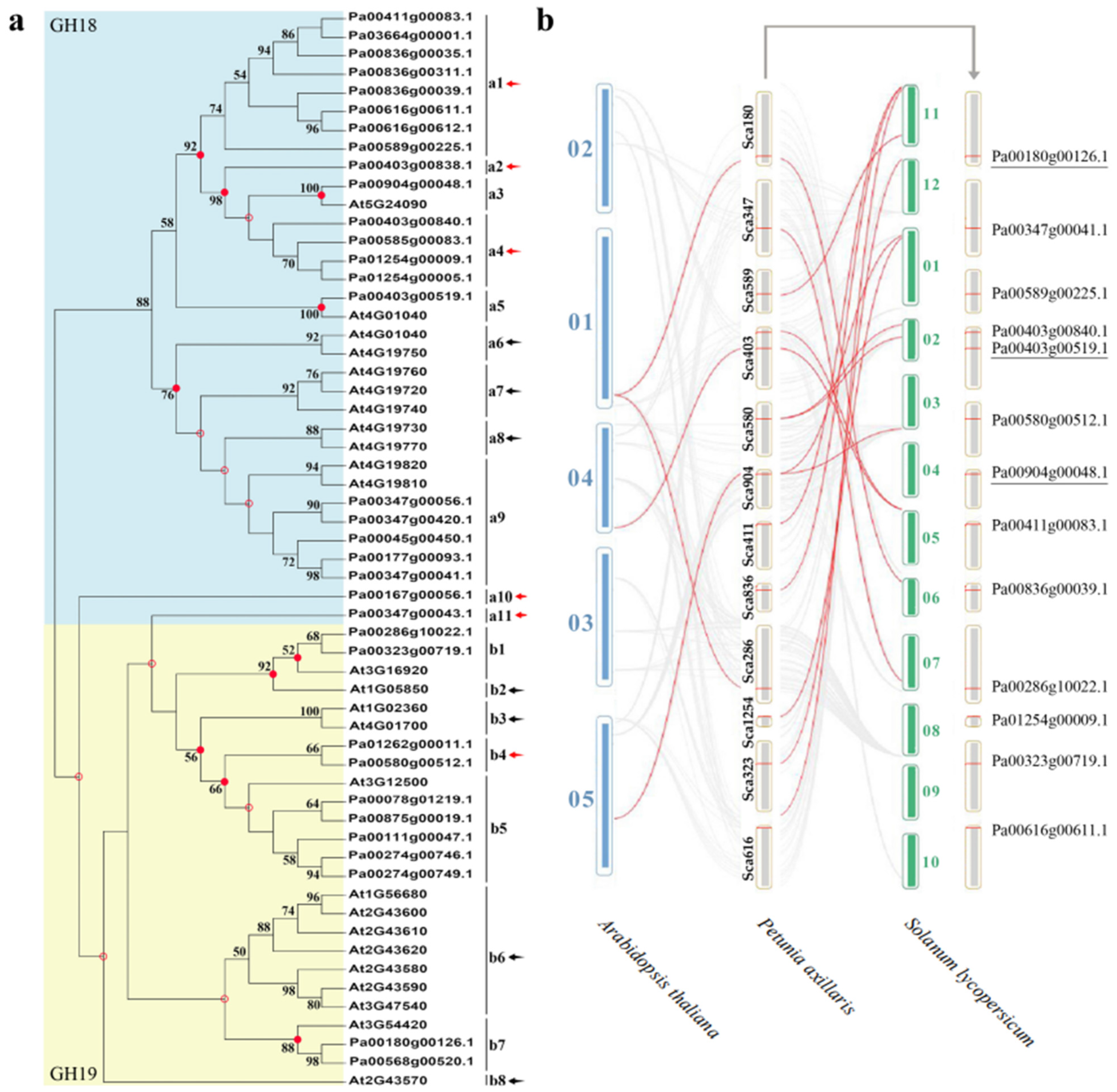 Plants 11 01269 g003