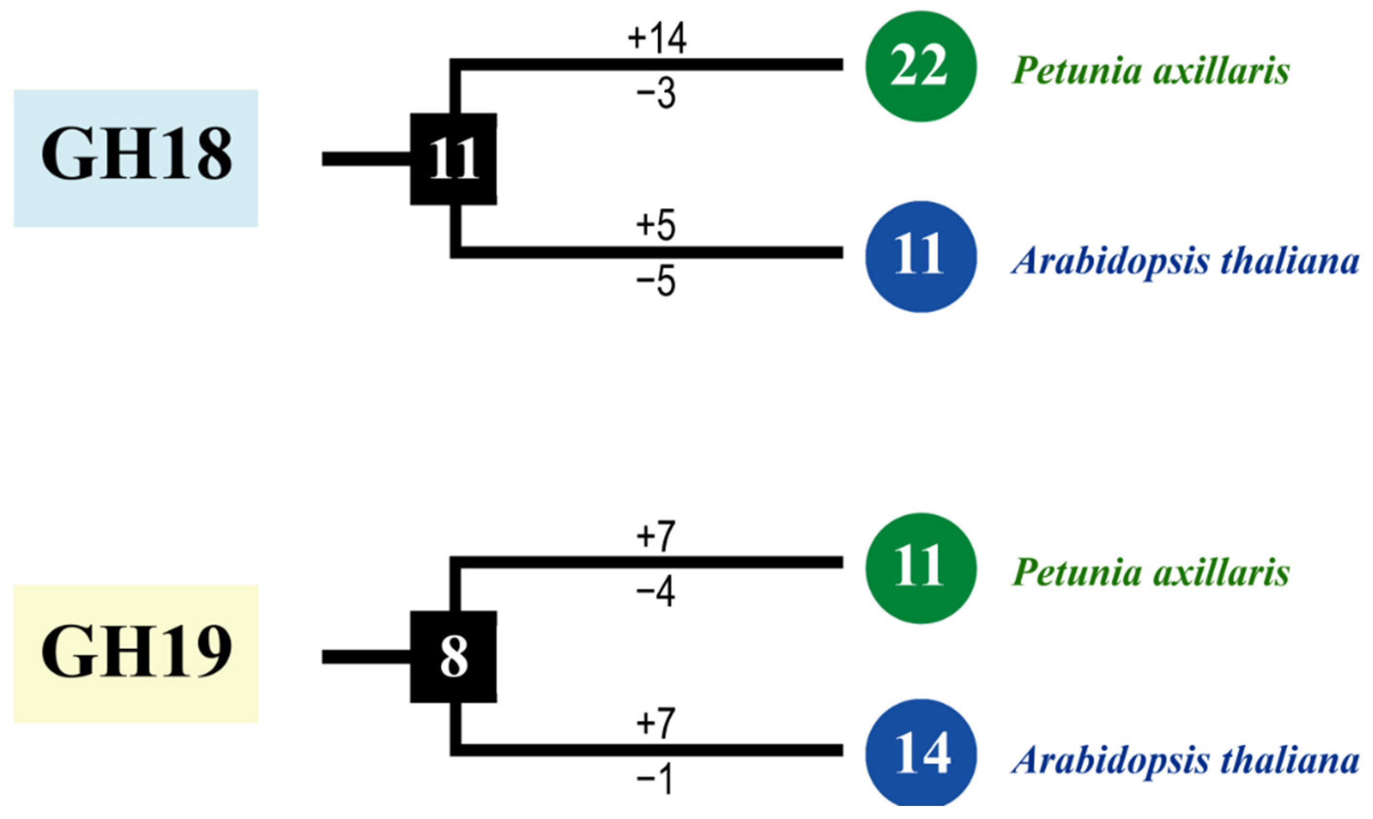 Plants 11 01269 g004