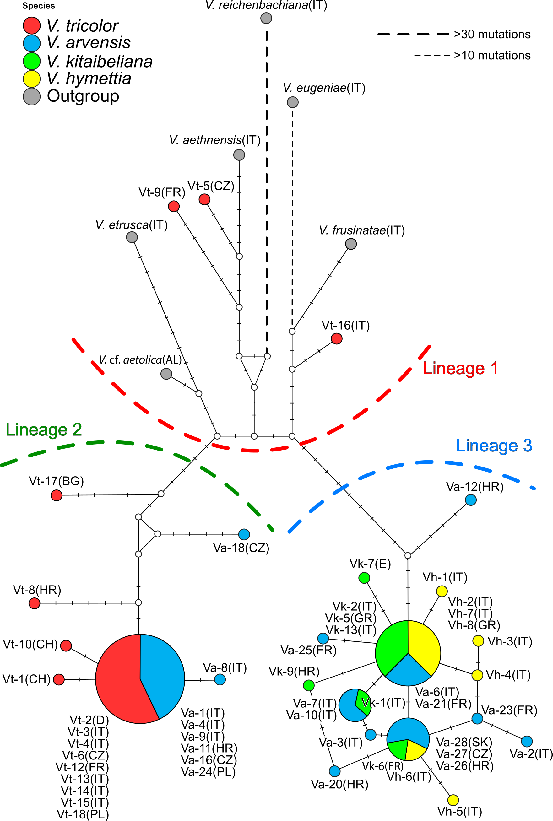 Plants 11 01294 g001