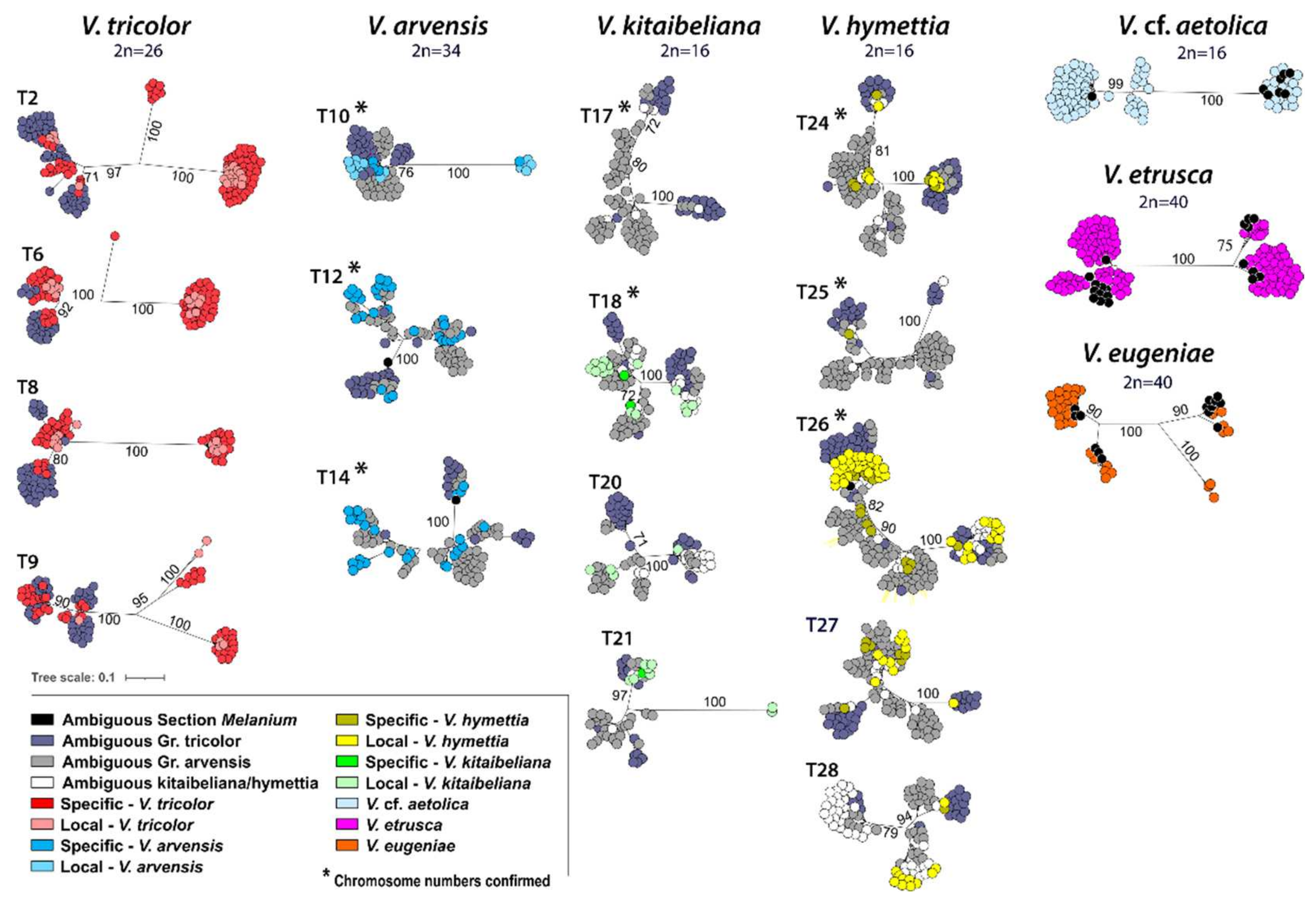 Plants 11 01294 g004