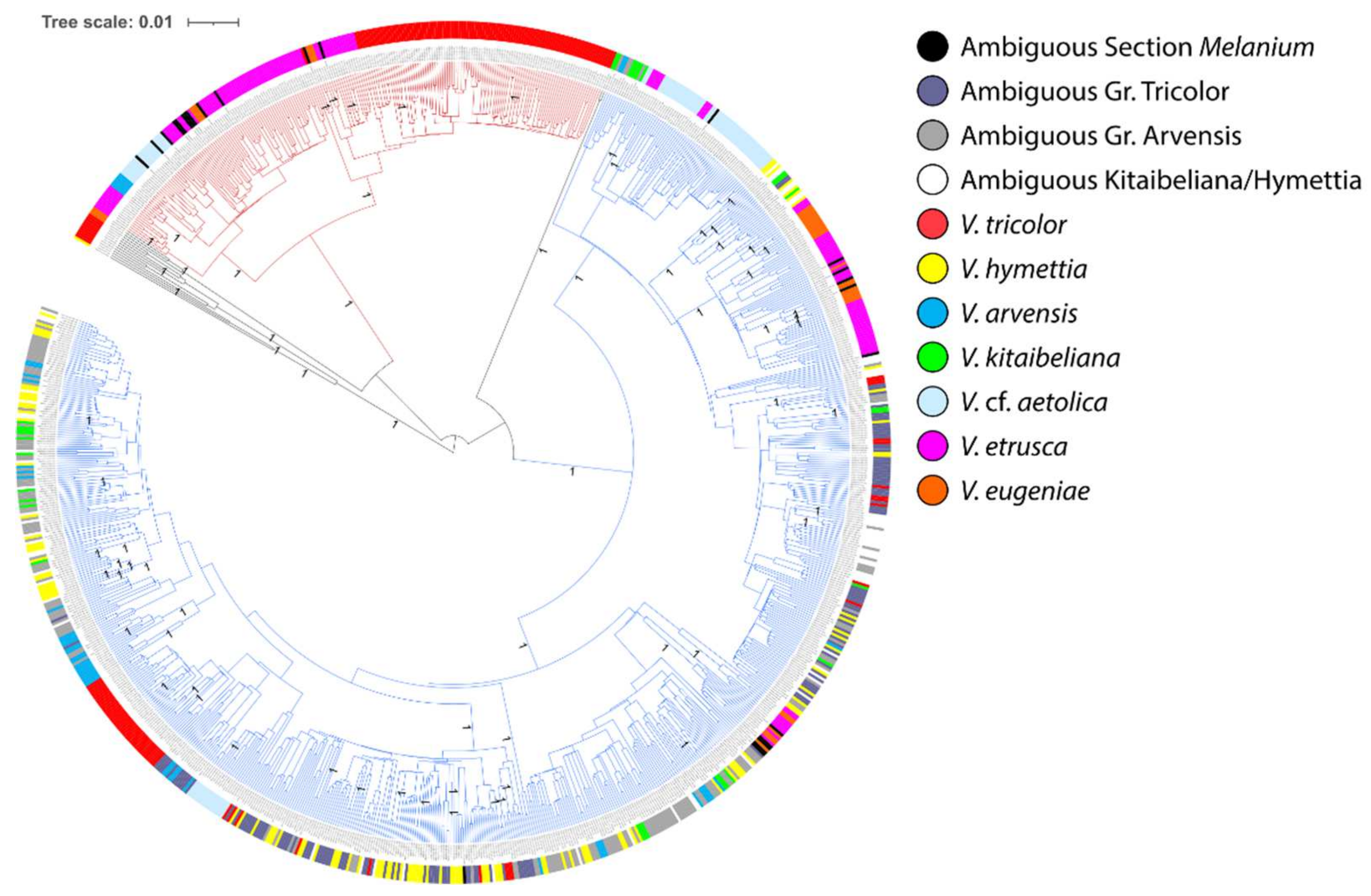 Plants 11 01294 g006