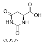 Plants 11 01304 i009