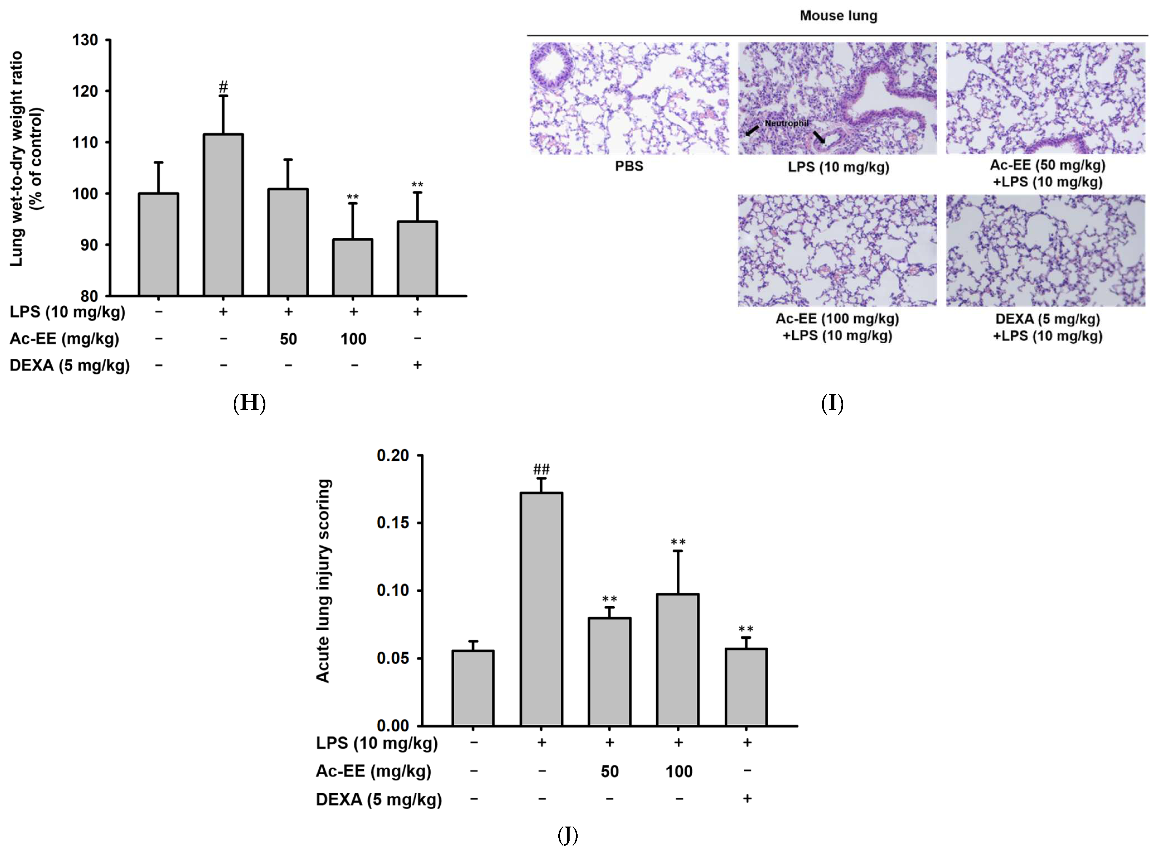Plants 11 01306 g002b