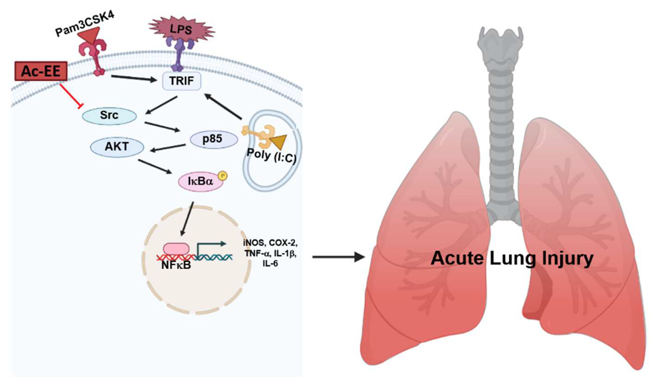 Plants 11 01306 g005