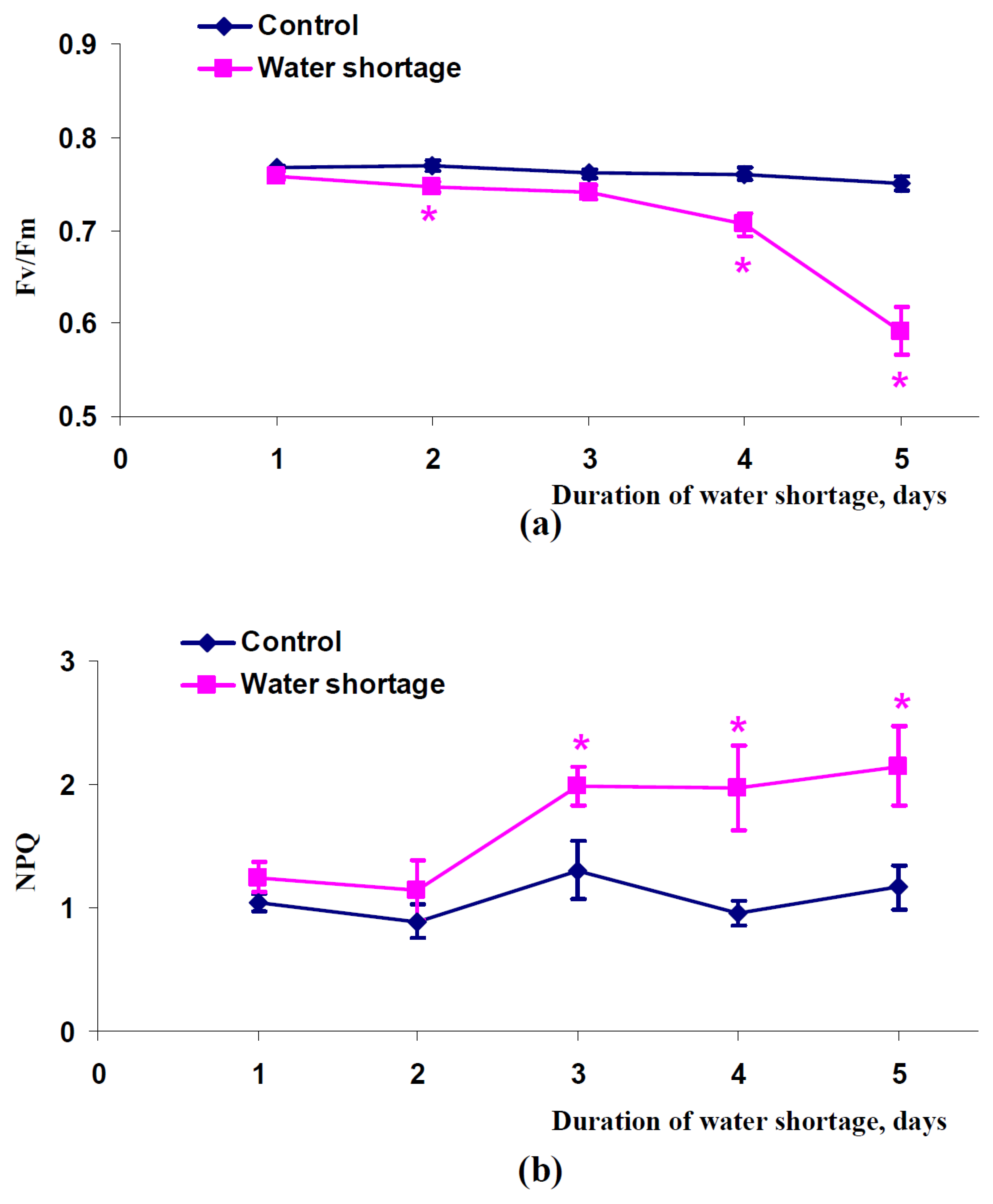 Plants 11 01308 g002