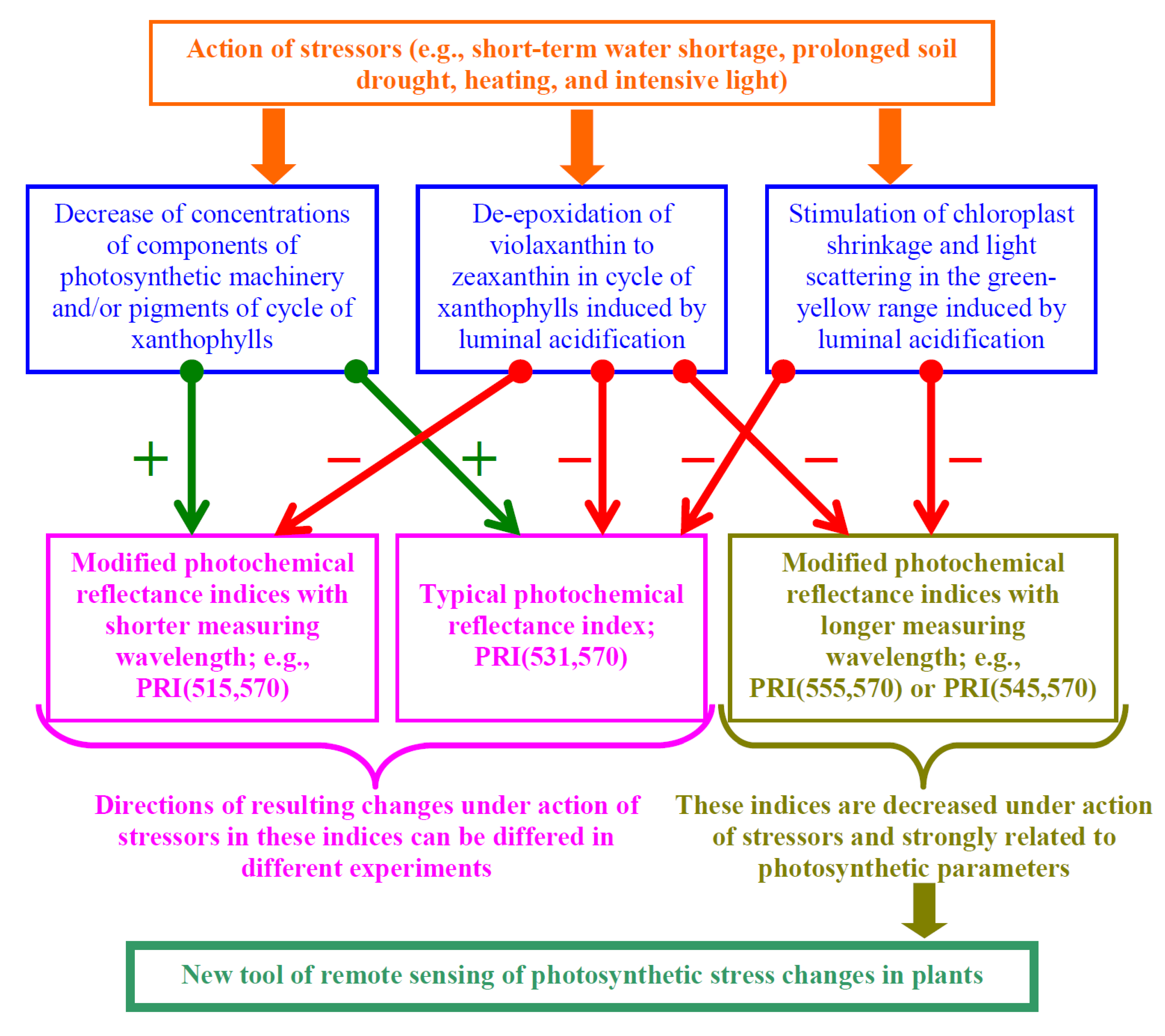 Plants 11 01308 g012