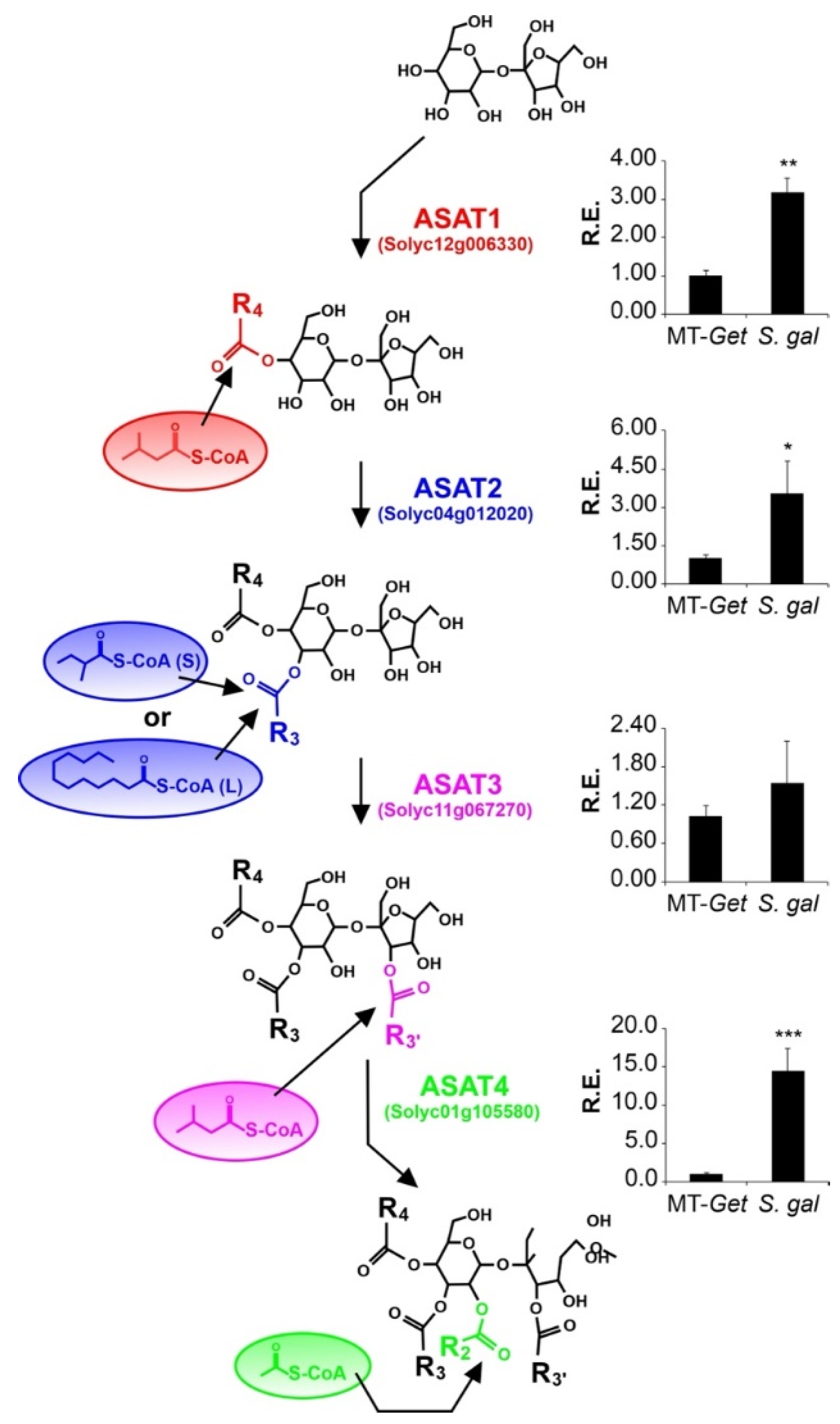 Plants 11 01309 g007