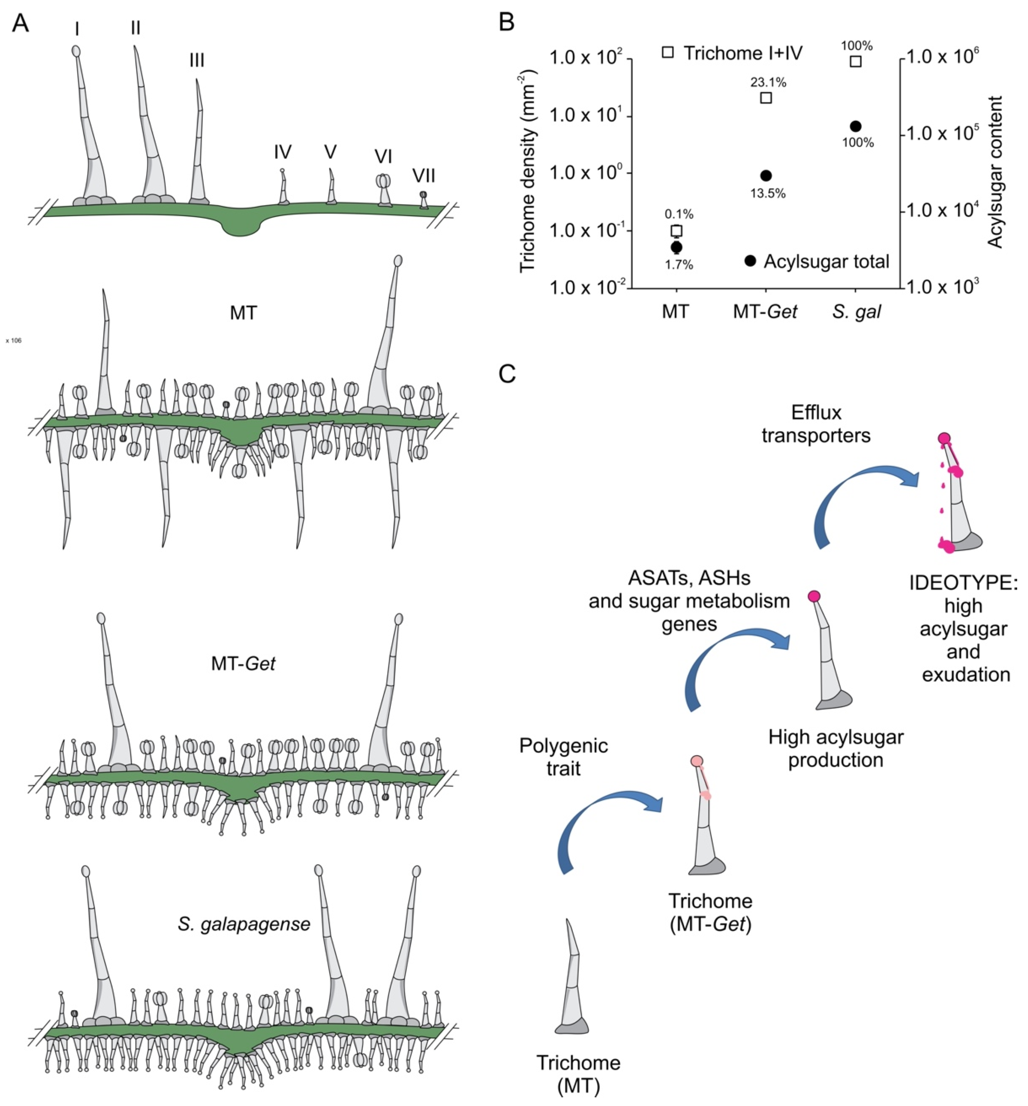 Plants 11 01309 g008