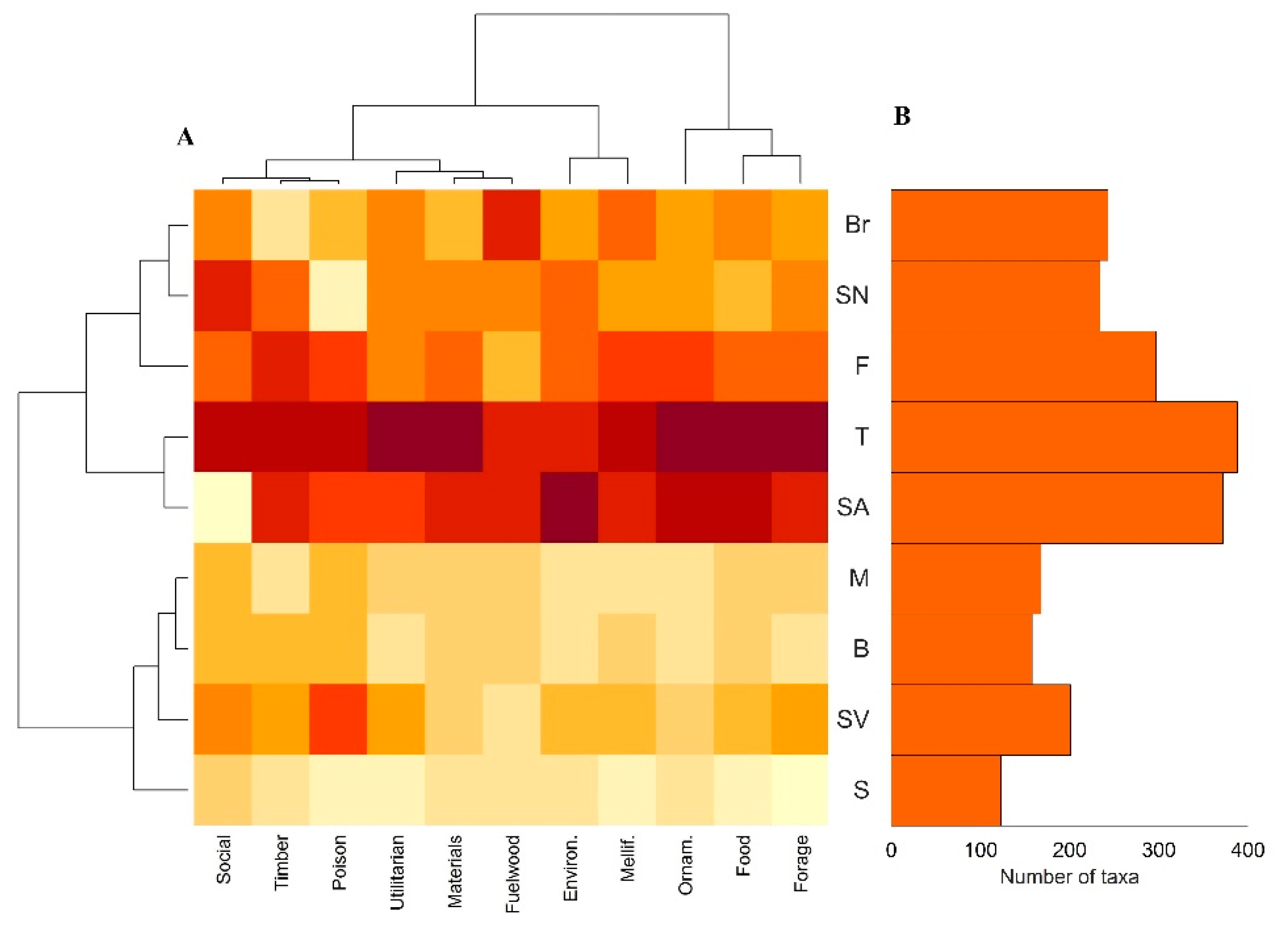 Plants 11 01313 g005