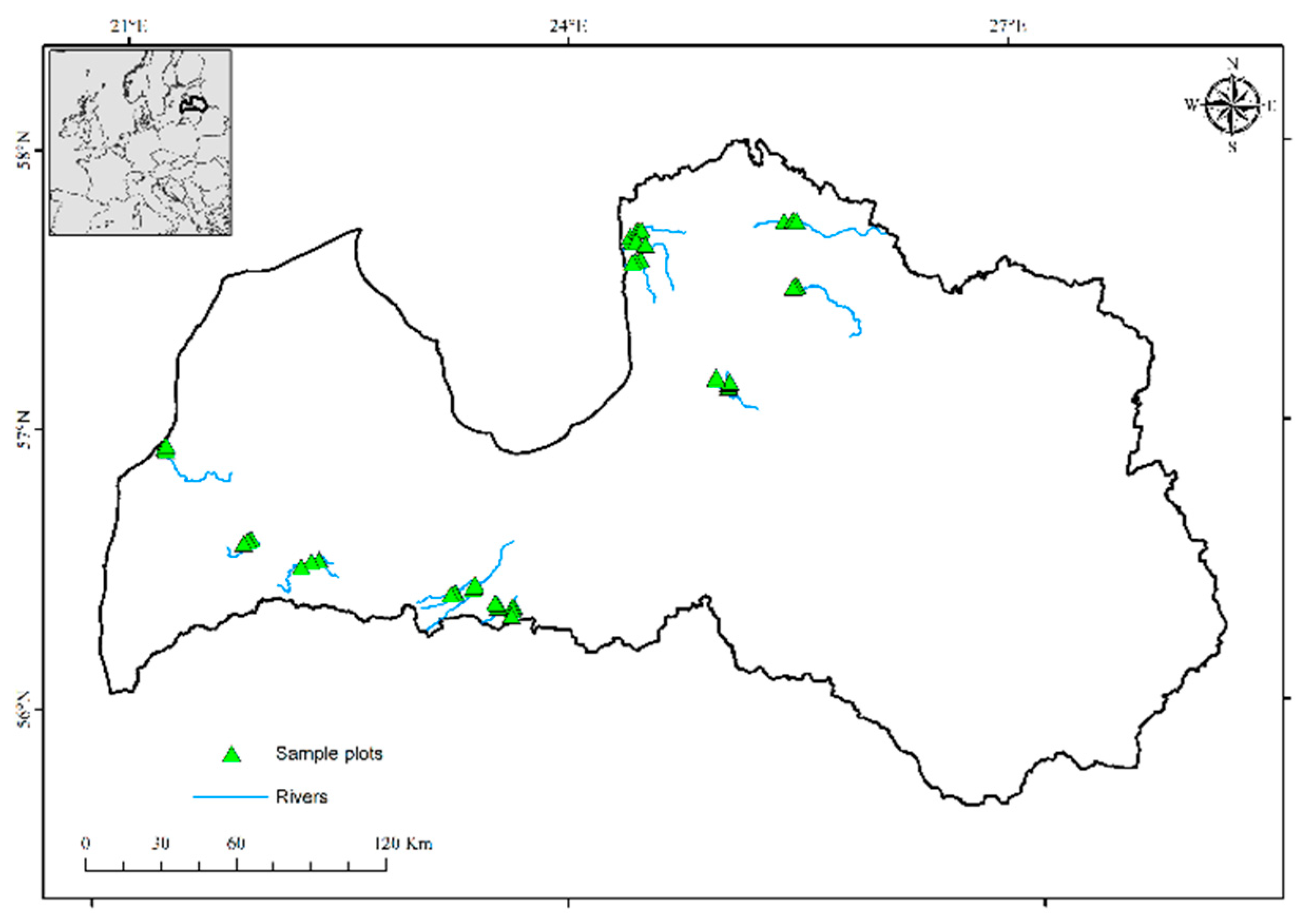 Plants 11 01316 g001