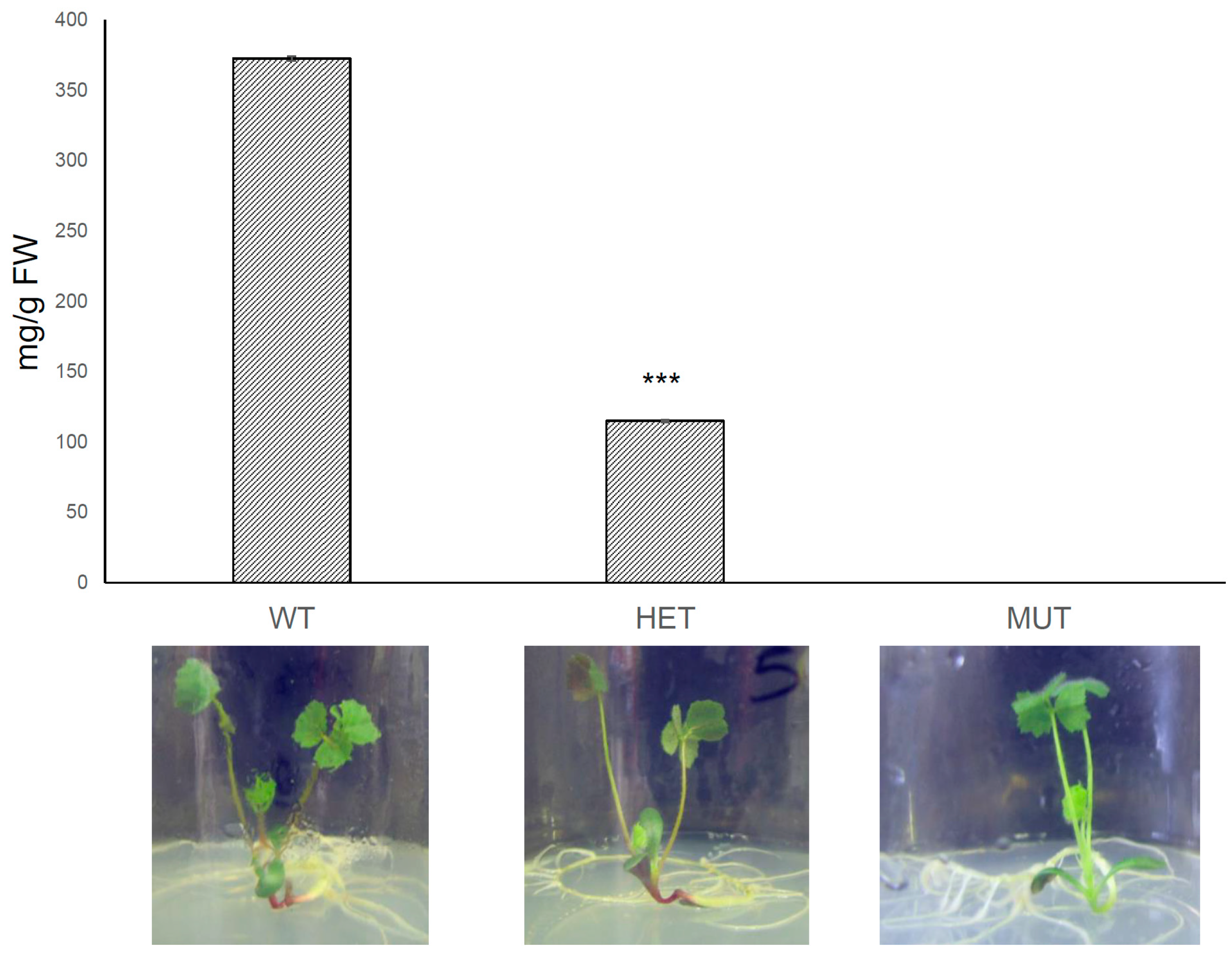 Plants 11 01318 g003