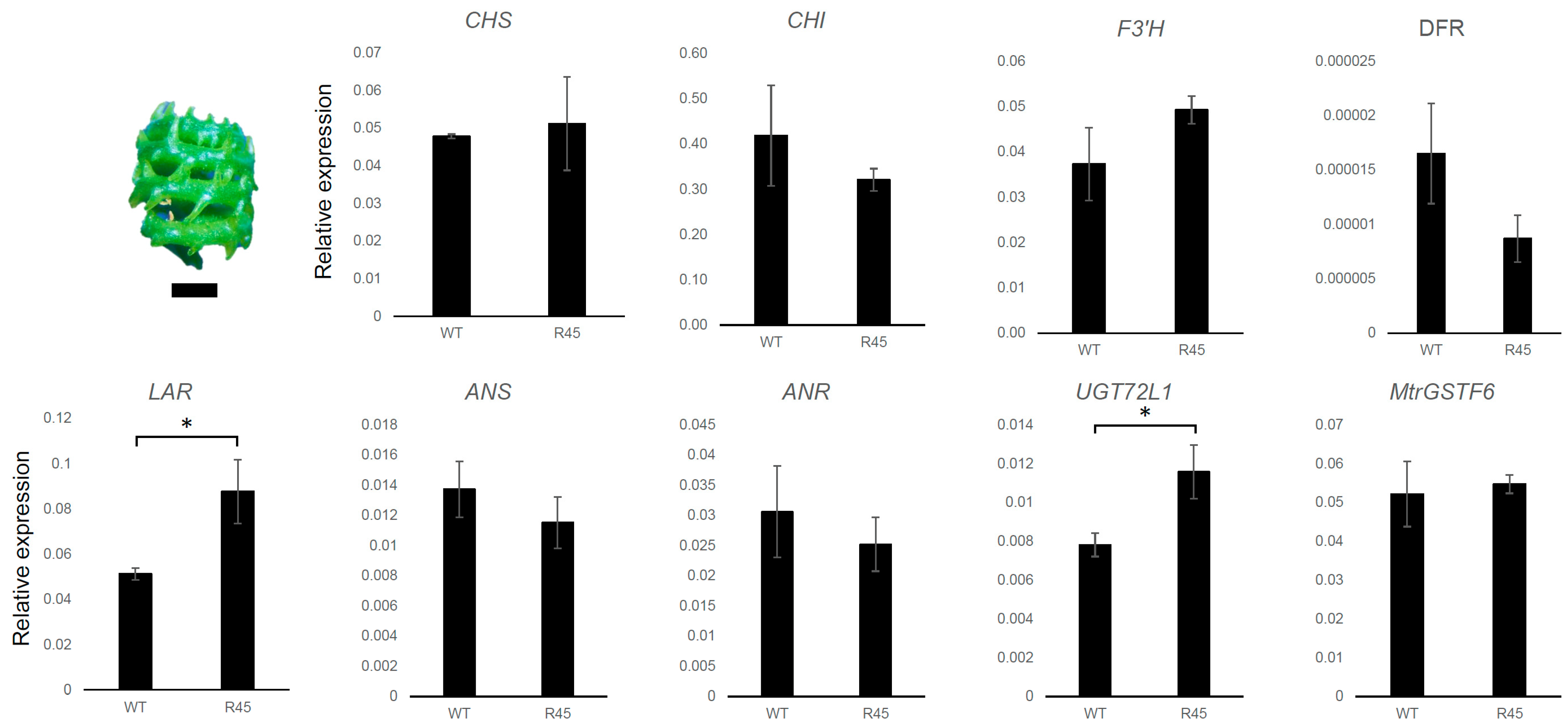 Plants 11 01318 g011