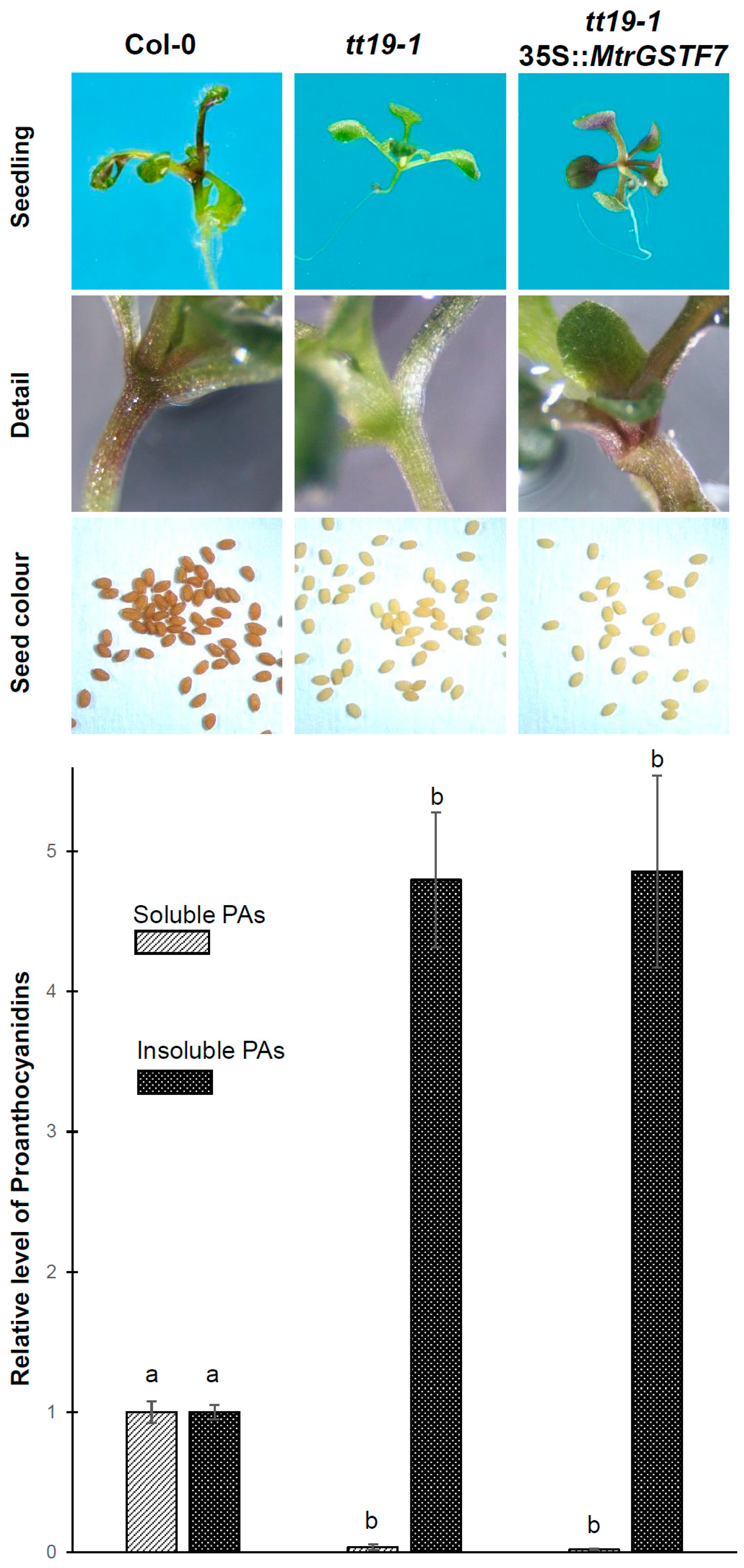 Plants 11 01318 g012