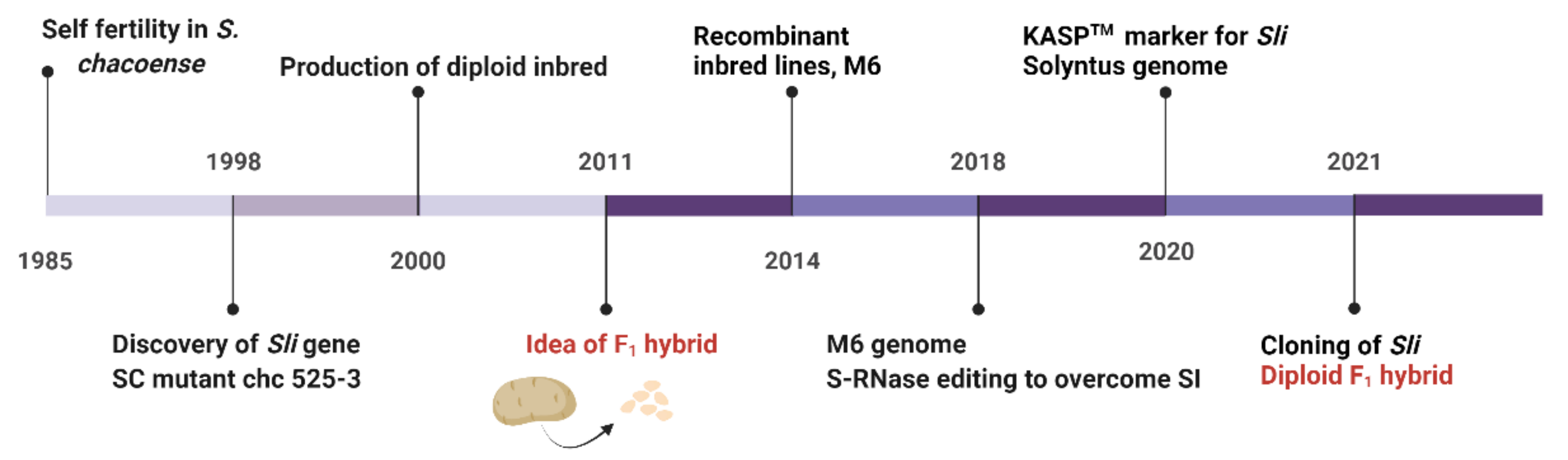 Plants 11 01328 g002