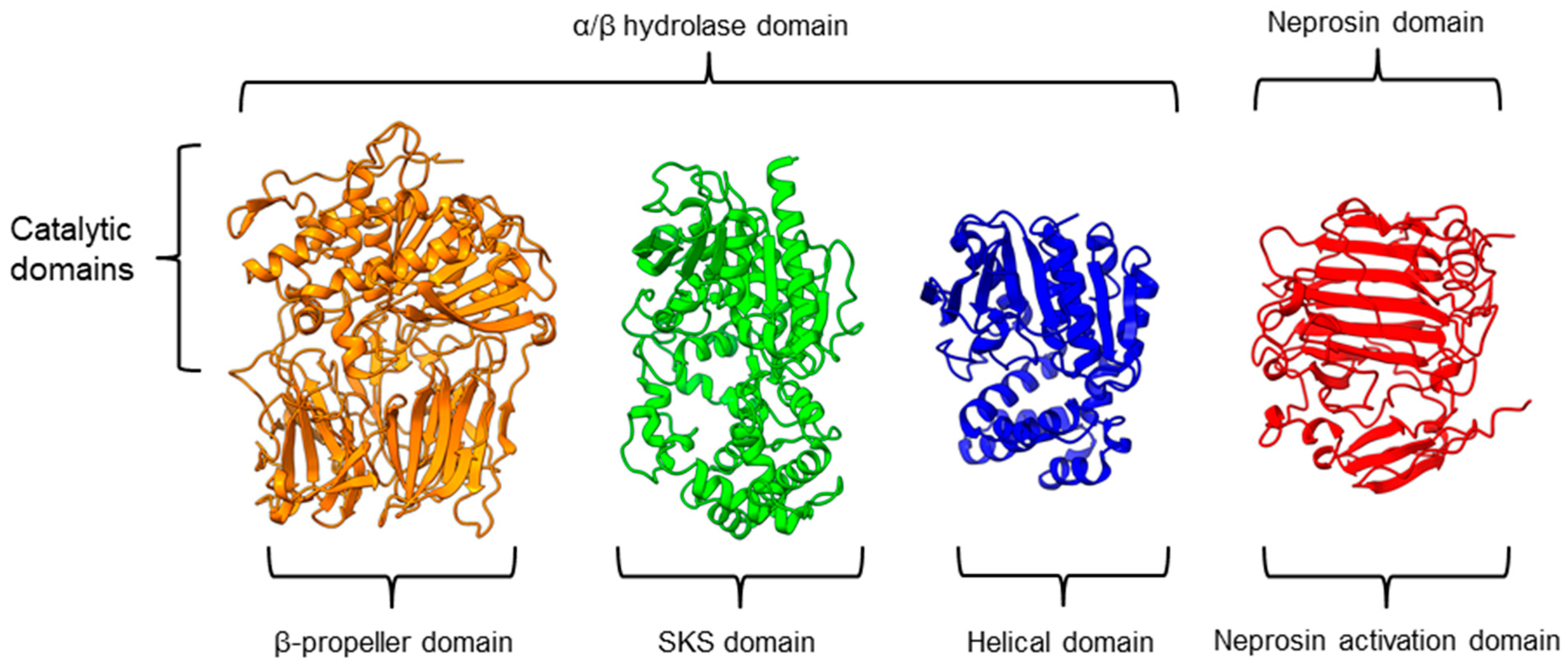 Plants 11 01330 g003 Plants 11 01330 g003