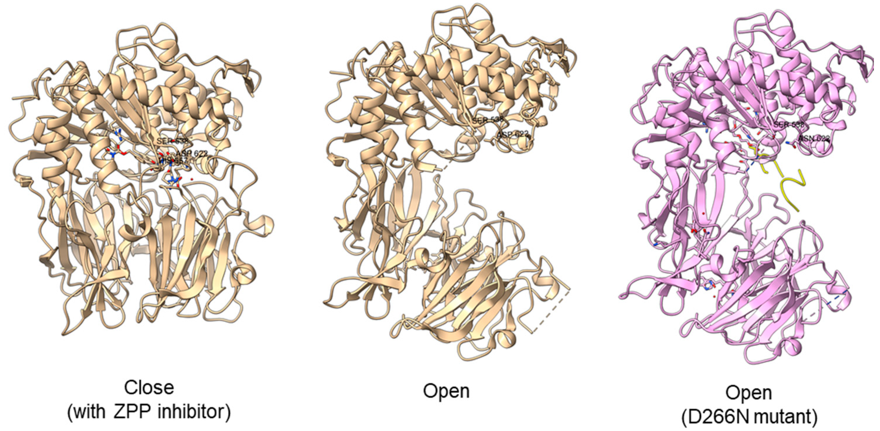 Plants 11 01330 g006 Plants 11 01330 g006