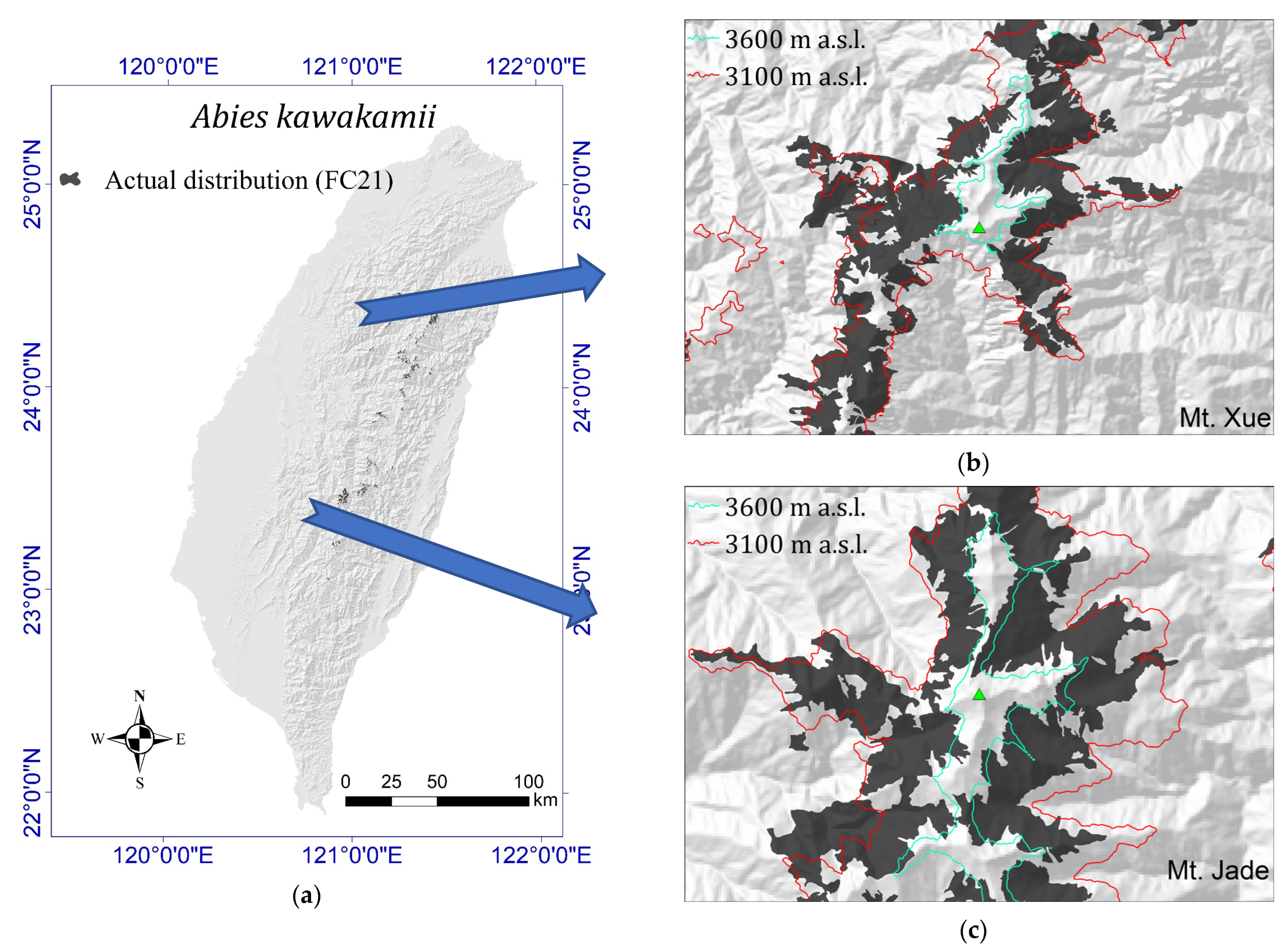 Plants 11 01346 g001