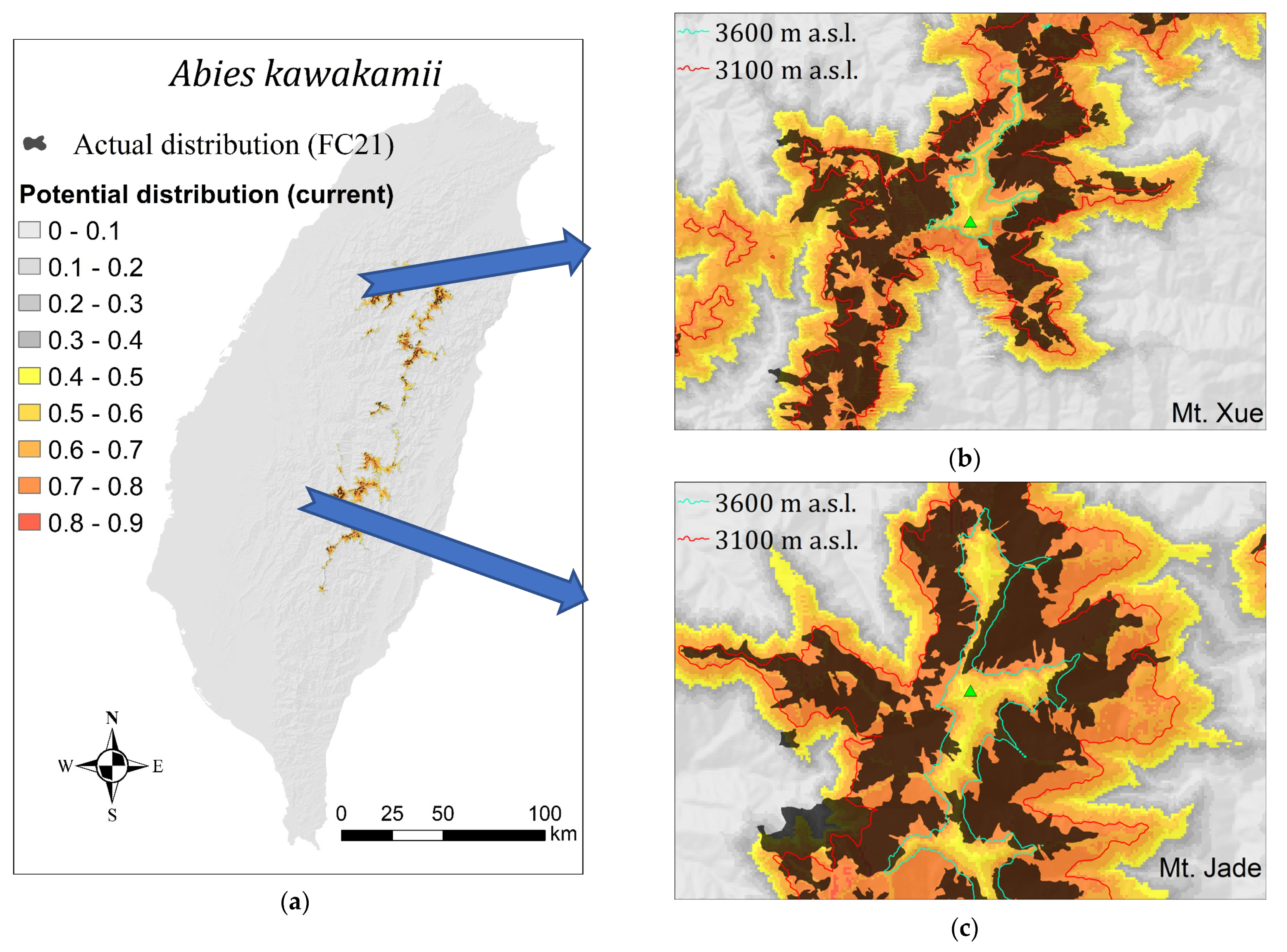 Plants 11 01346 g002