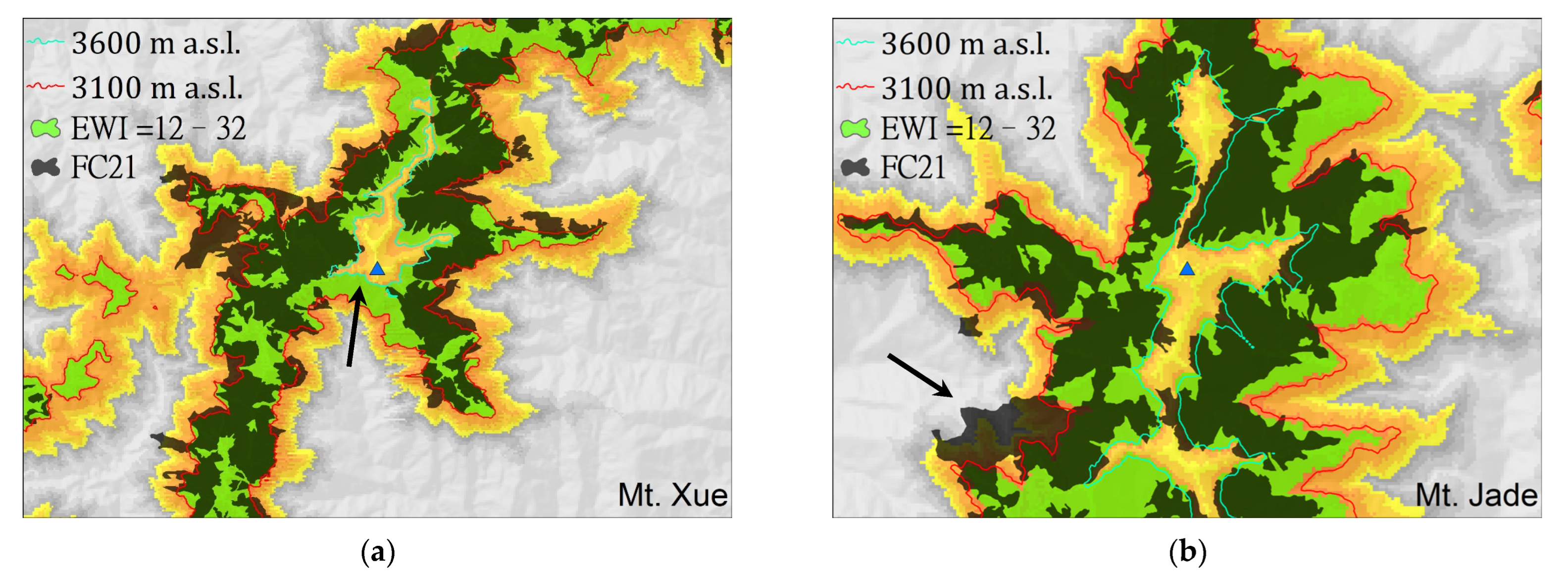 Plants 11 01346 g003