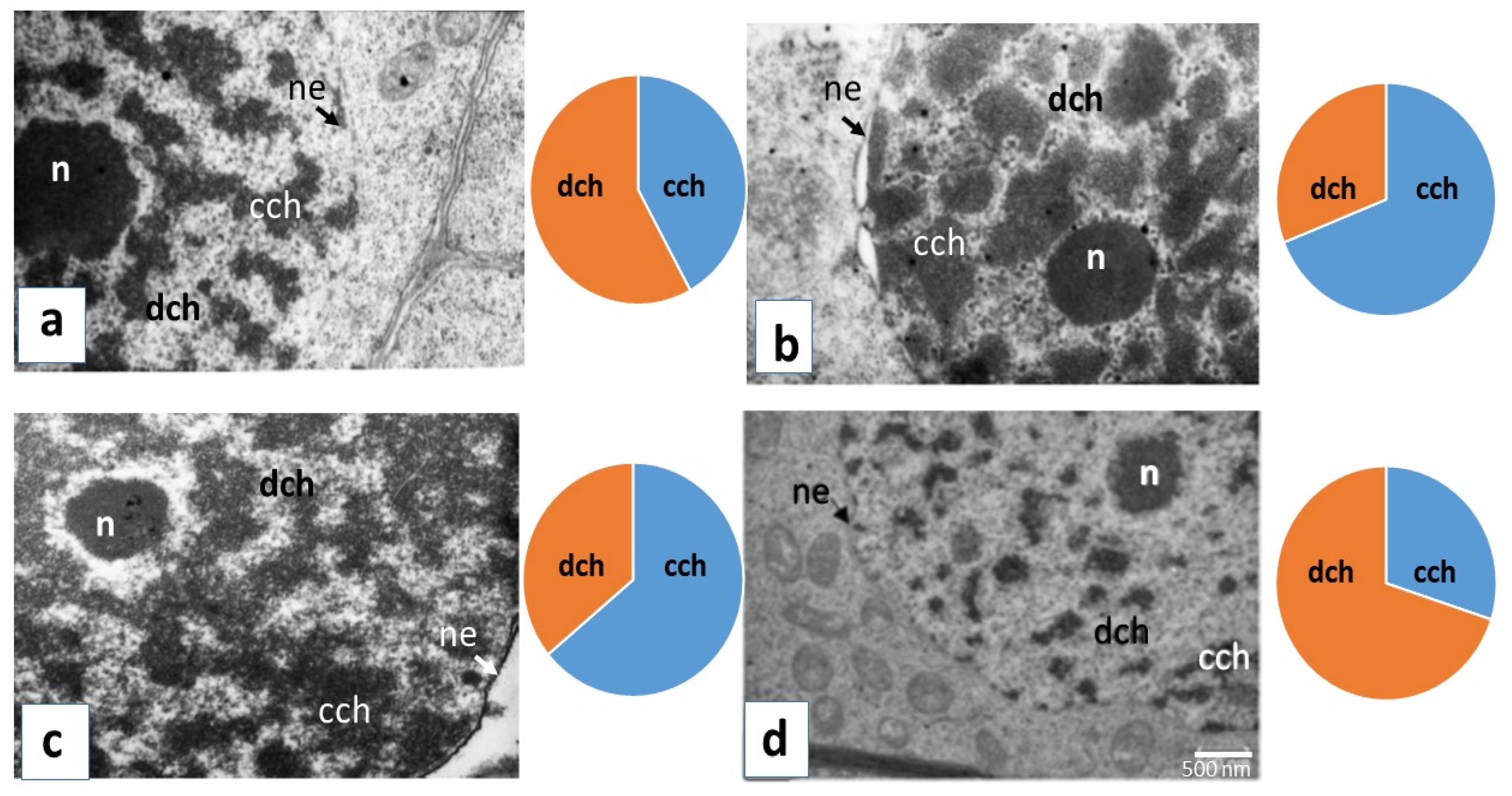 Plants 11 01352 g003 Plants 11 01352 g003