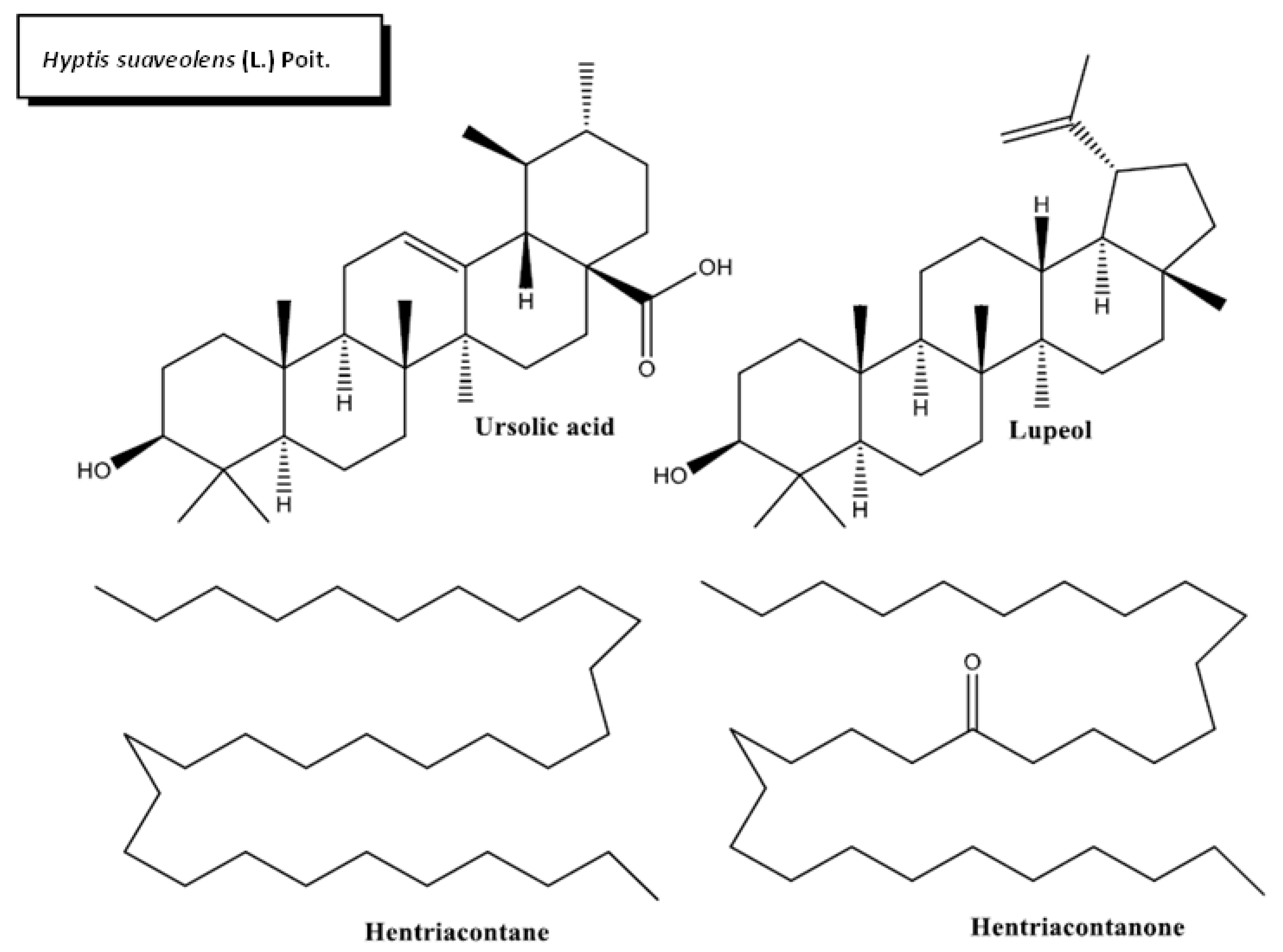 Plants 11 01360 g004 Plants 11 01360 g004
