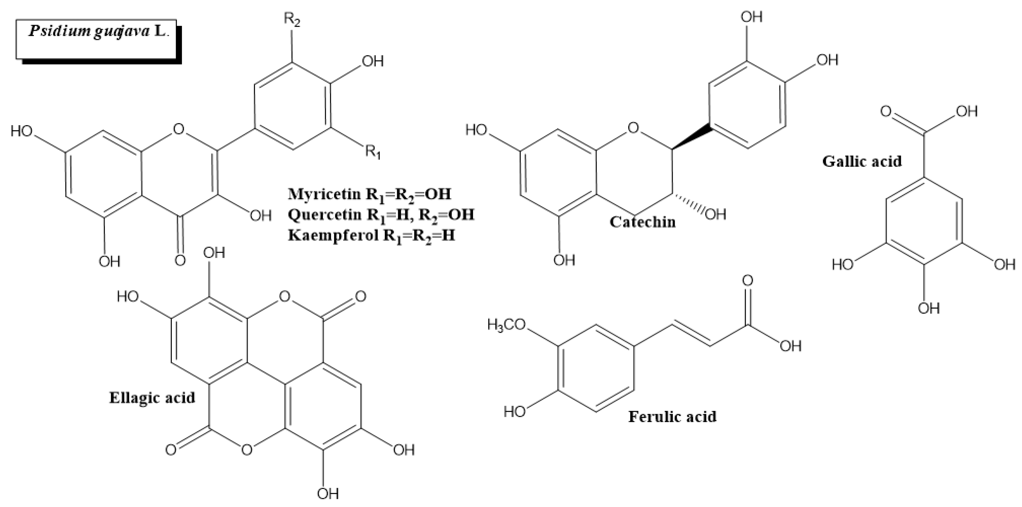 Plants 11 01360 g006 Plants 11 01360 g006